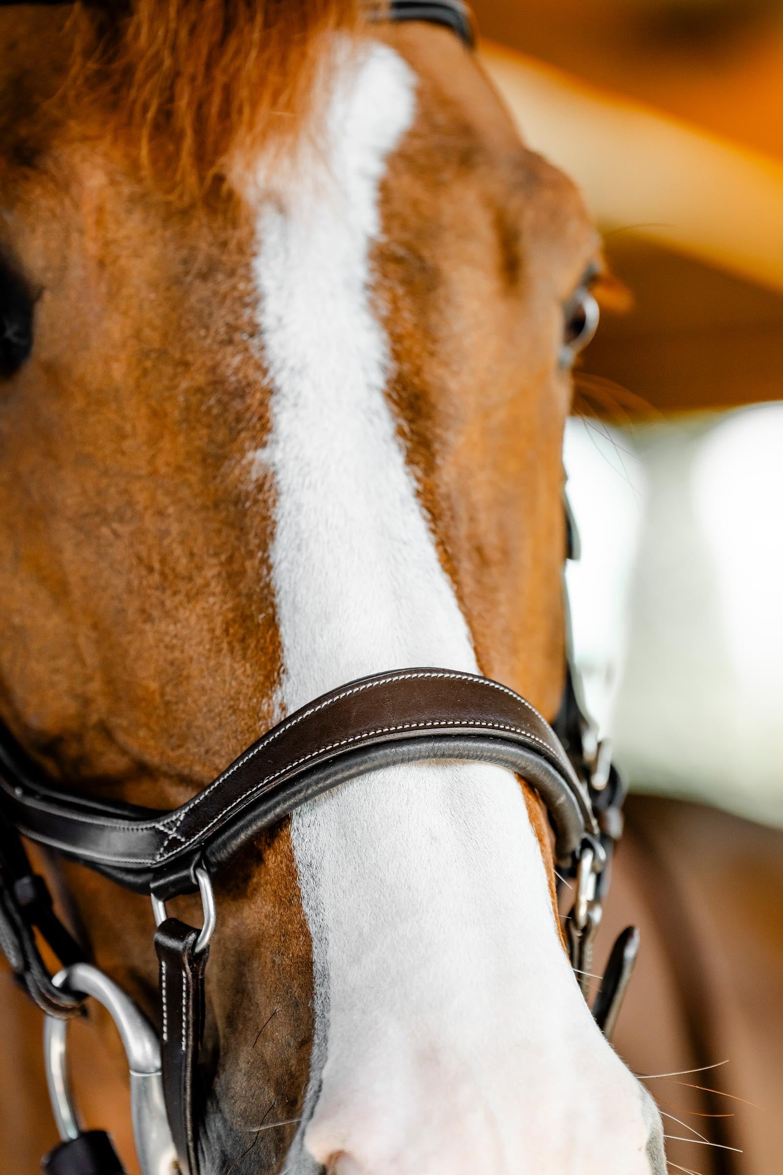 Horseware Rambo Micklem Competition Bridle Bridles & Reins
