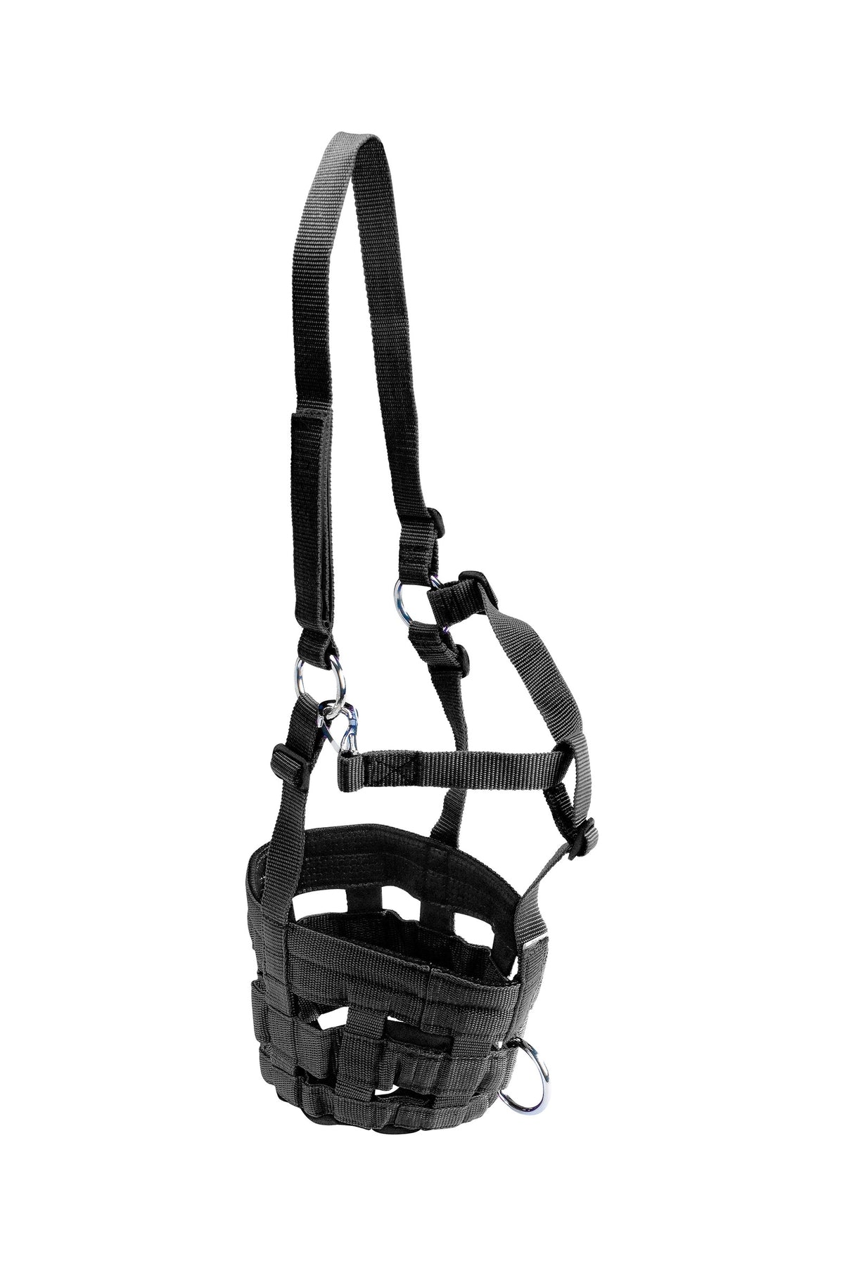 HIPPOTONIC Muzzle Halters & Leads