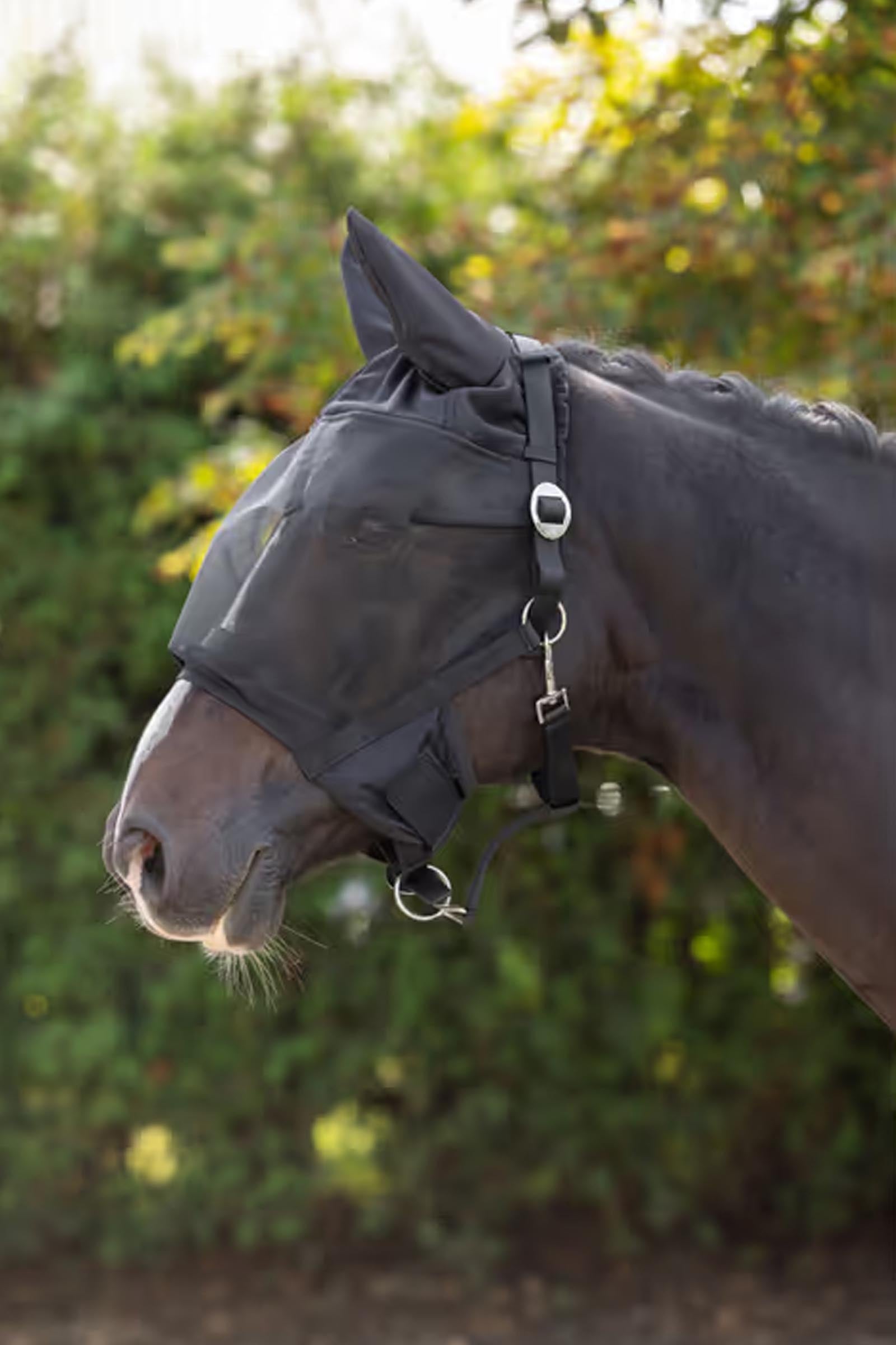 Covalliero Halter With Fly Mask Antifly Protection for Horses