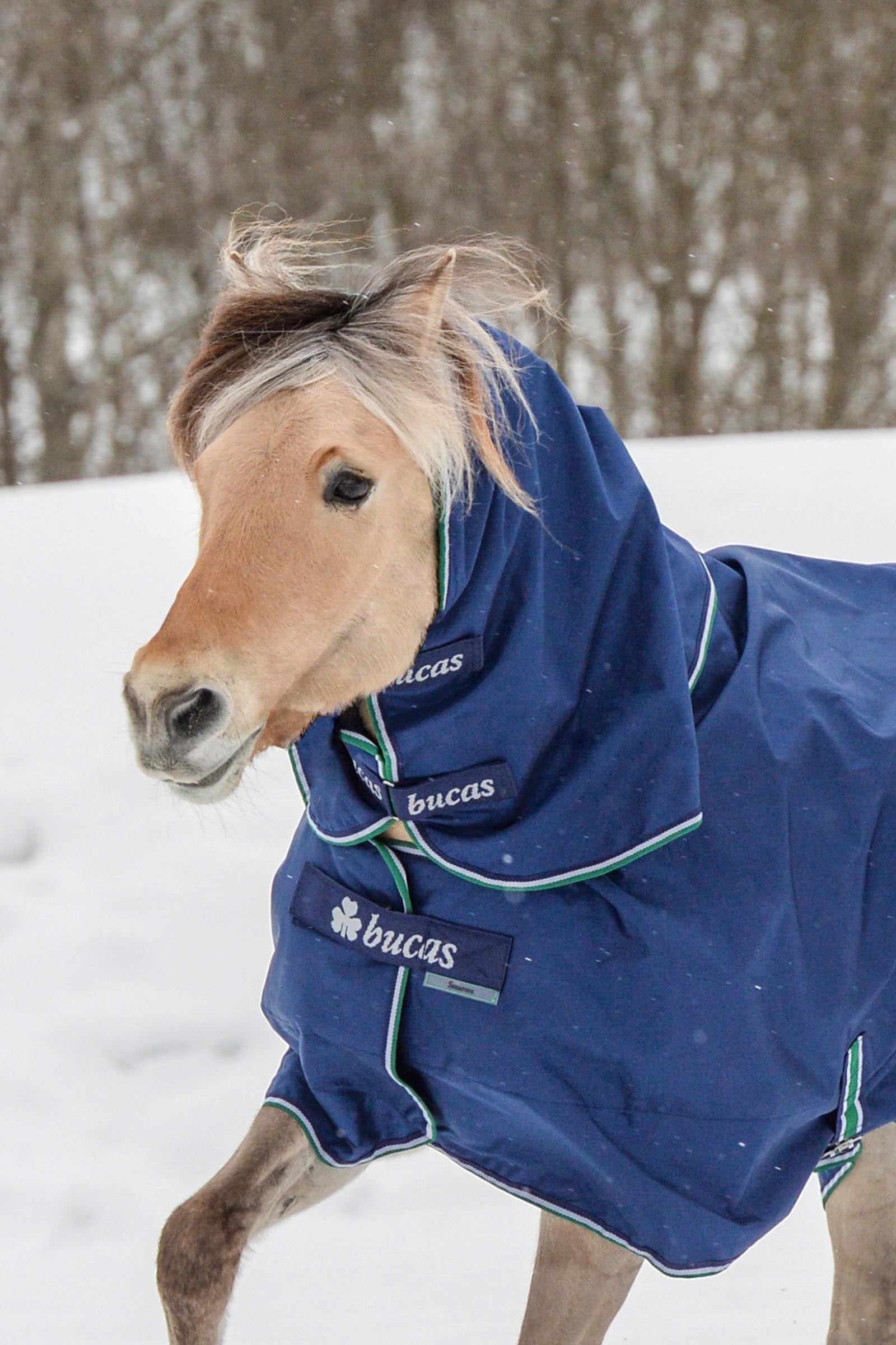 Bucas Smartex Combi Neck 300 Horse Rugs