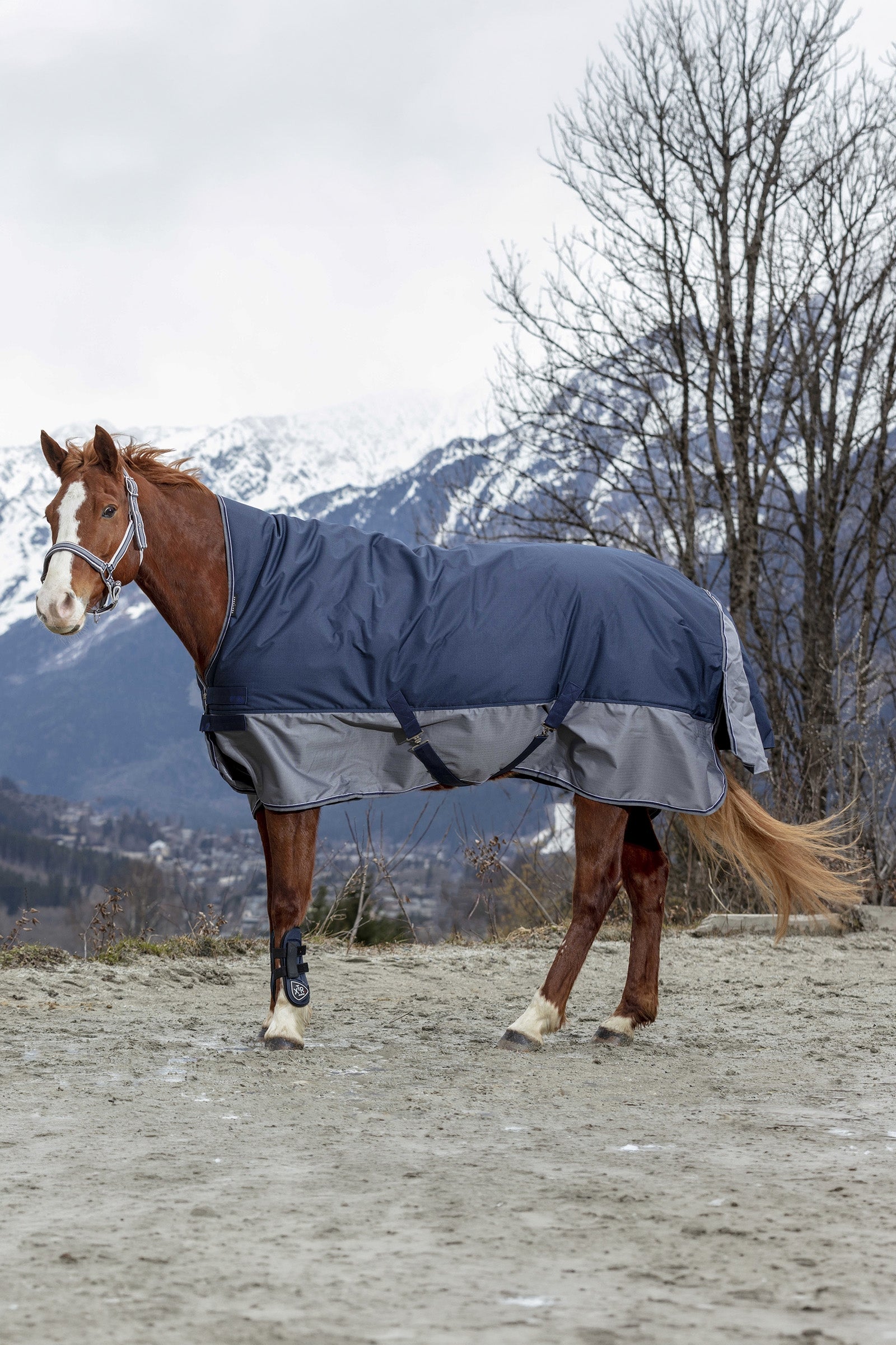 EQUITHÈME TYREX 600D High Neck Rug, 150 g Horse Rugs