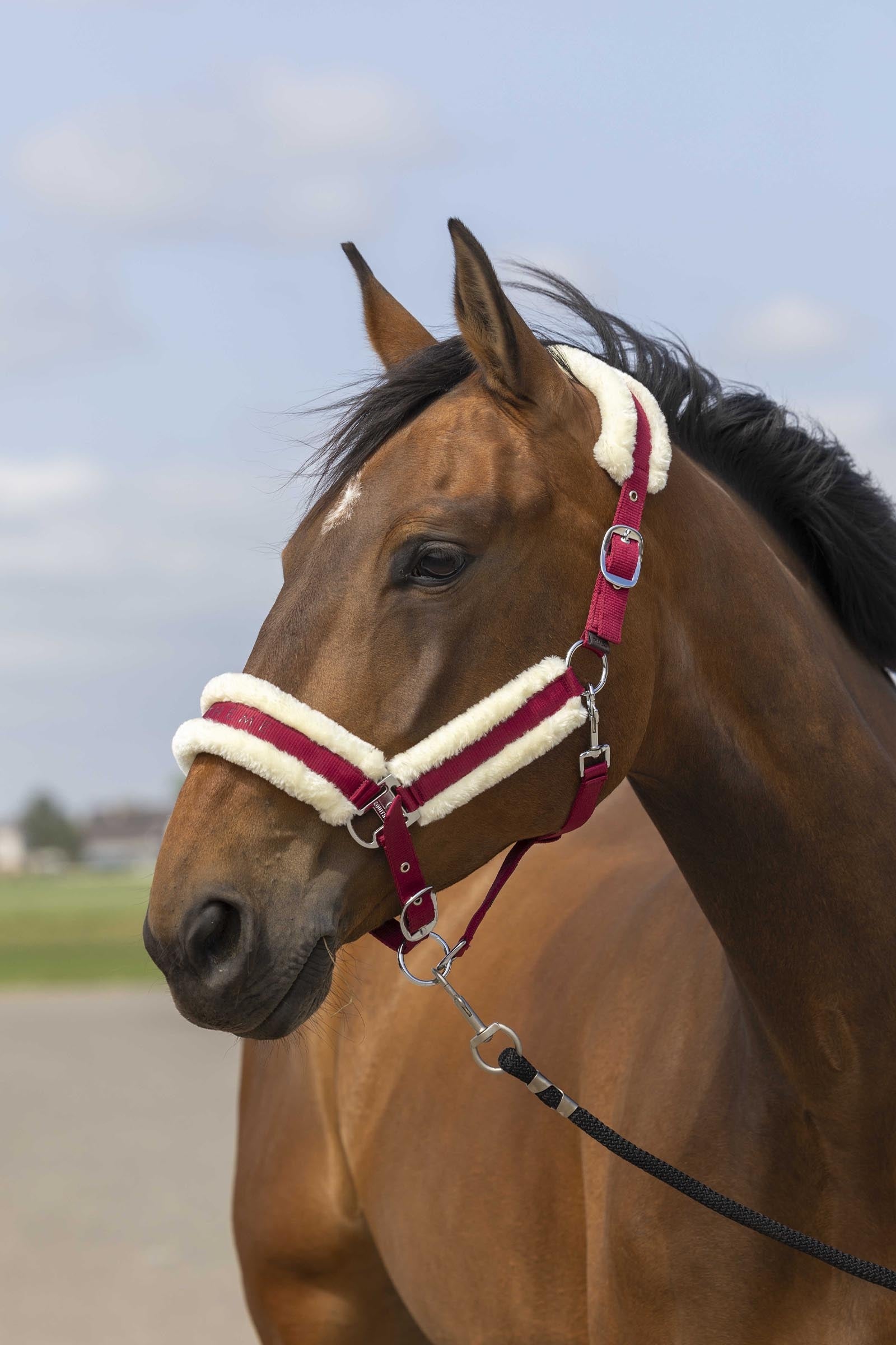 EQUITHÈME Nylon Mouton Halter Halters & Leads