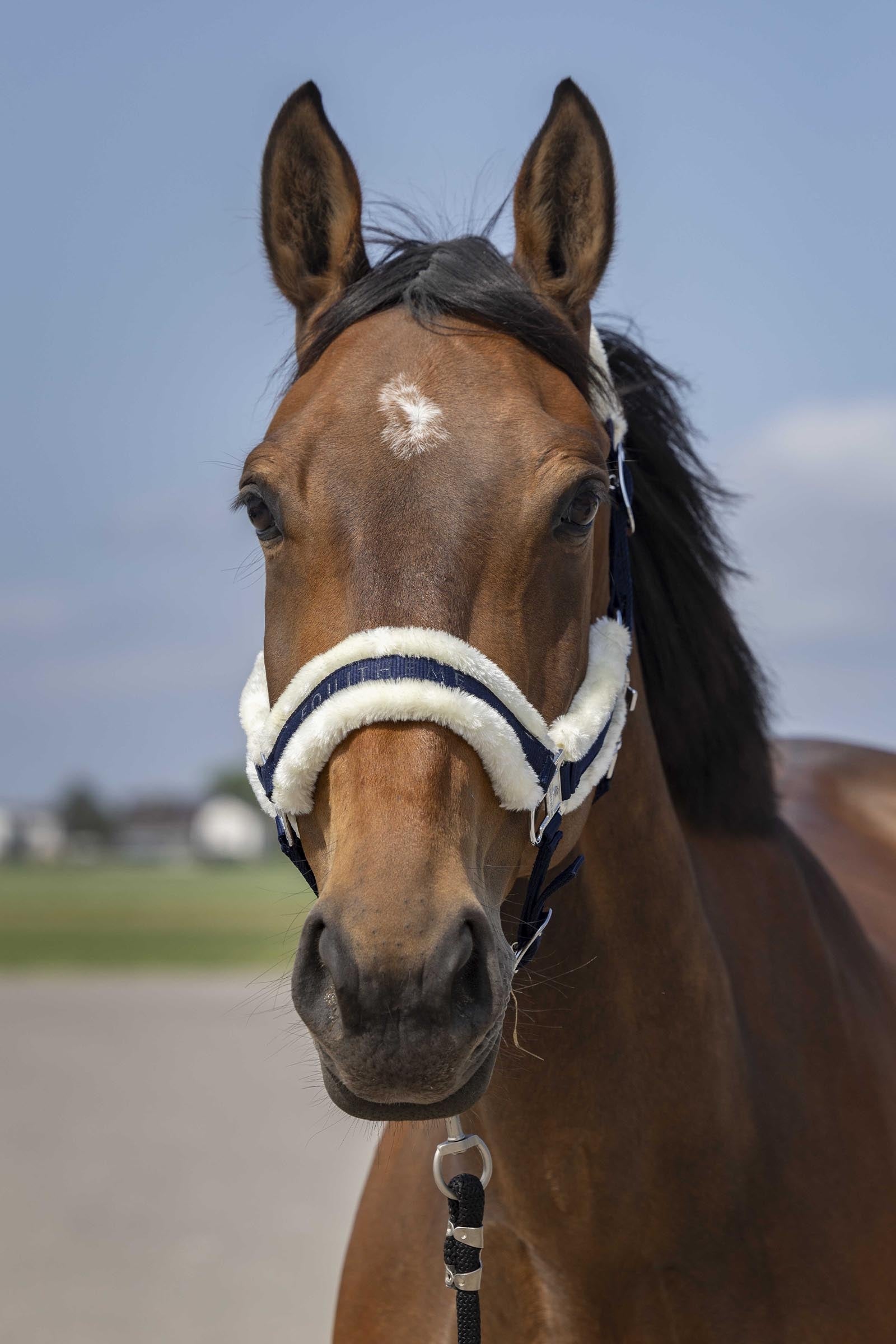 EQUITHÈME Nylon Mouton Halter Halters & Leads