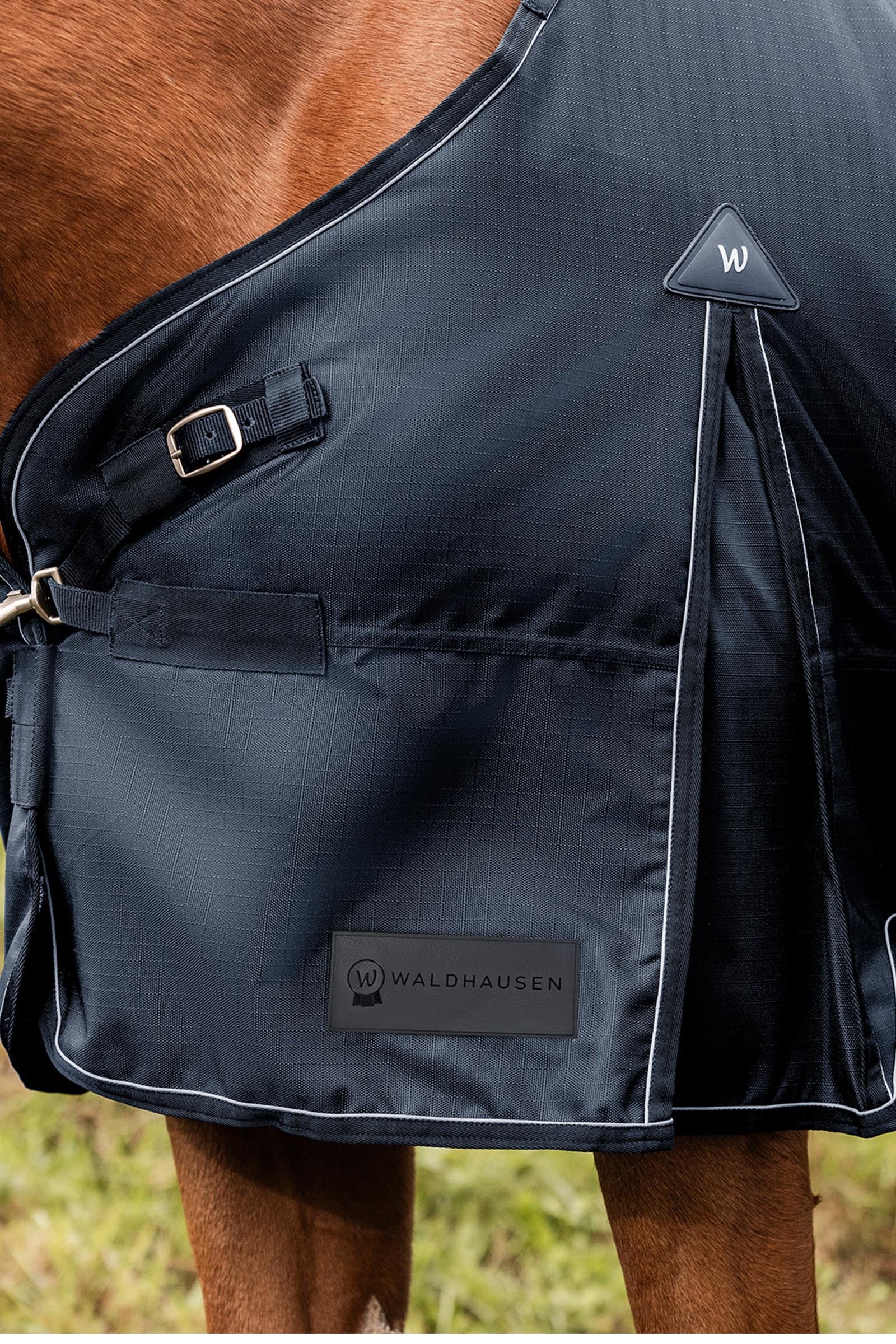 Couverture extérieur cheval 200g encolure haute Economic Clip'in system Couverture extérieur cheval 200g encolure haute Economic Clip'in system
