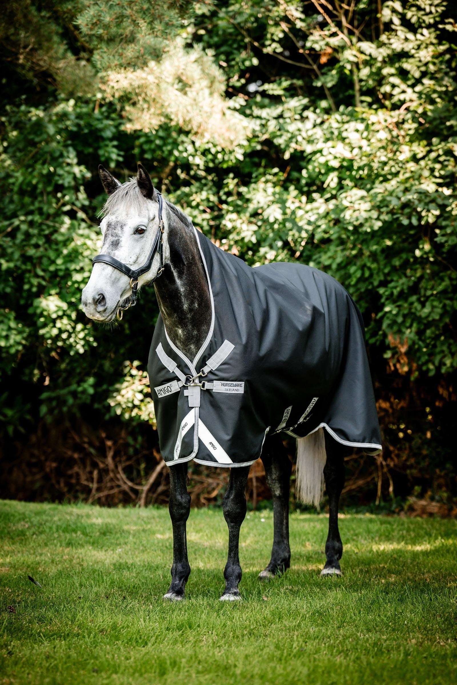 Horseware Amigo 1200D Wug Turnout 50 g Horse Rugs