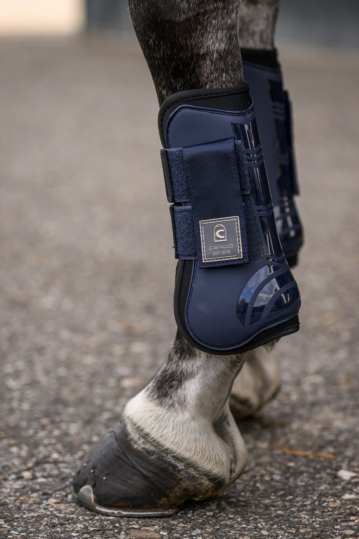 Cavallo CAVALHOLDA Tendon Boots Leg & Hoof Protection