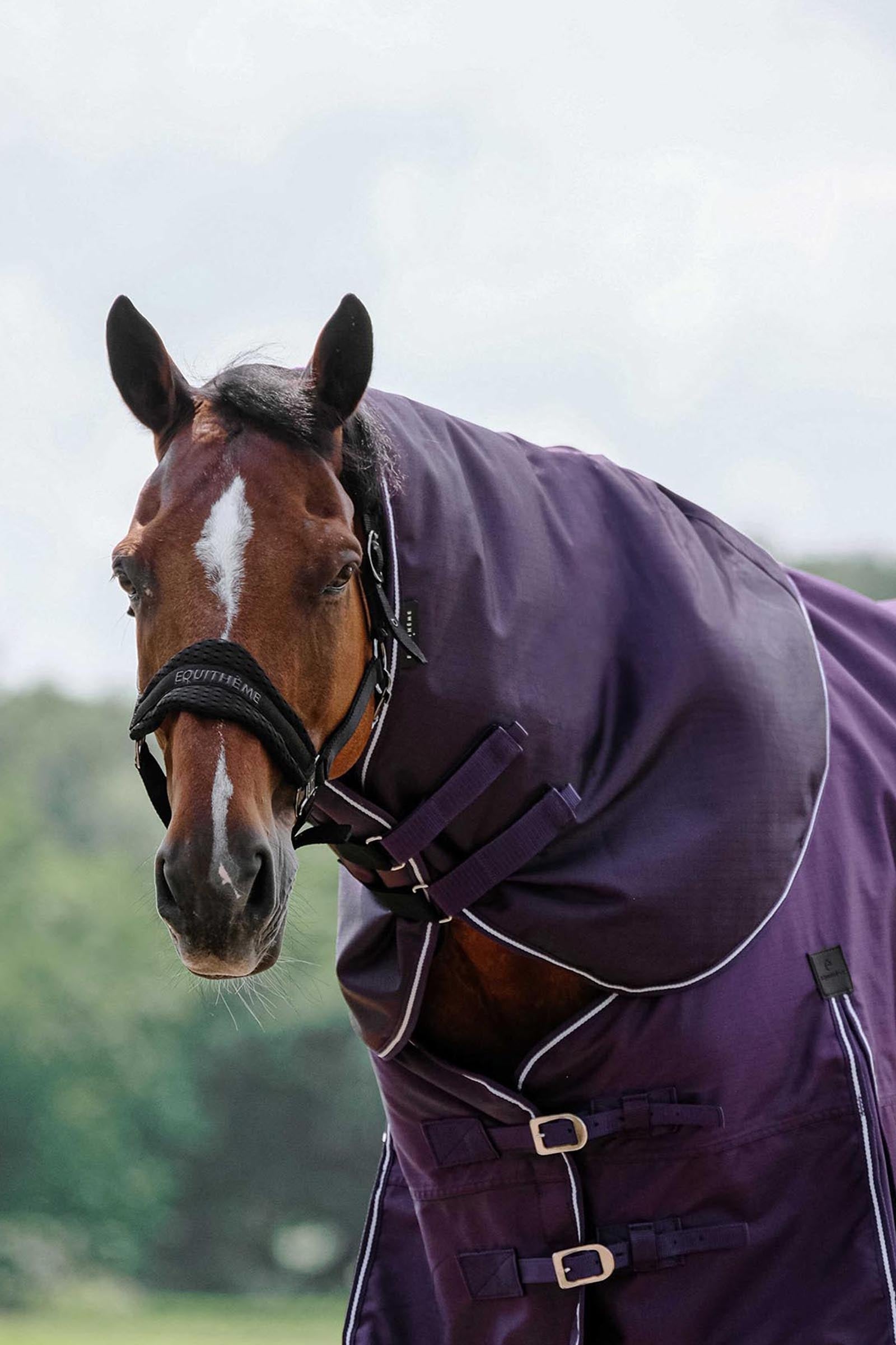 EQUITHÈME TYREX 600D Neck Cover Plume 0g Horse Rugs