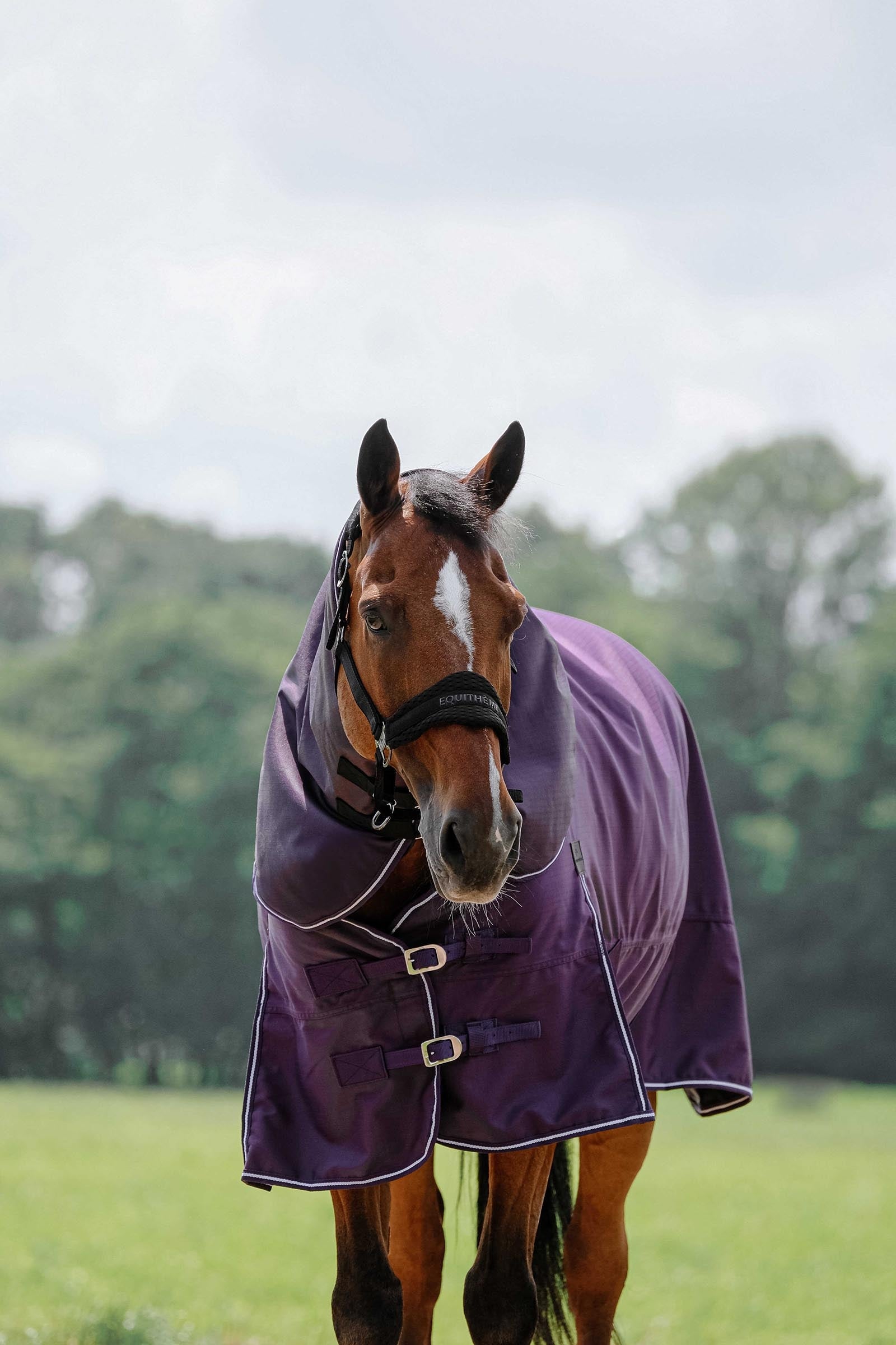EQUITHÈME TYREX 600D Neck Cover Plume 0g Horse Rugs