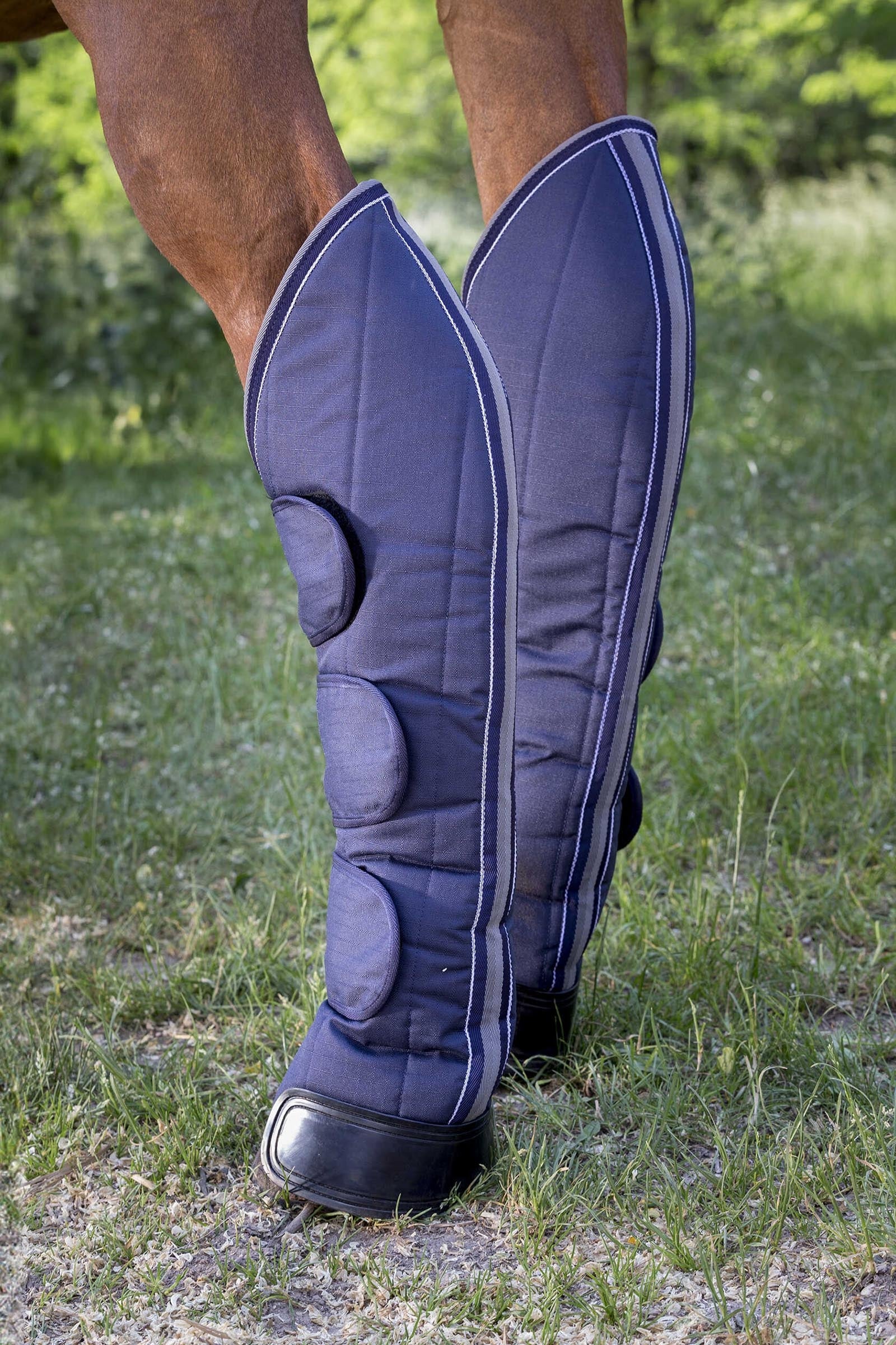 EQUITHÈME TYREX 600D Reinforced Transport Boots Leg & Hoof Protection
