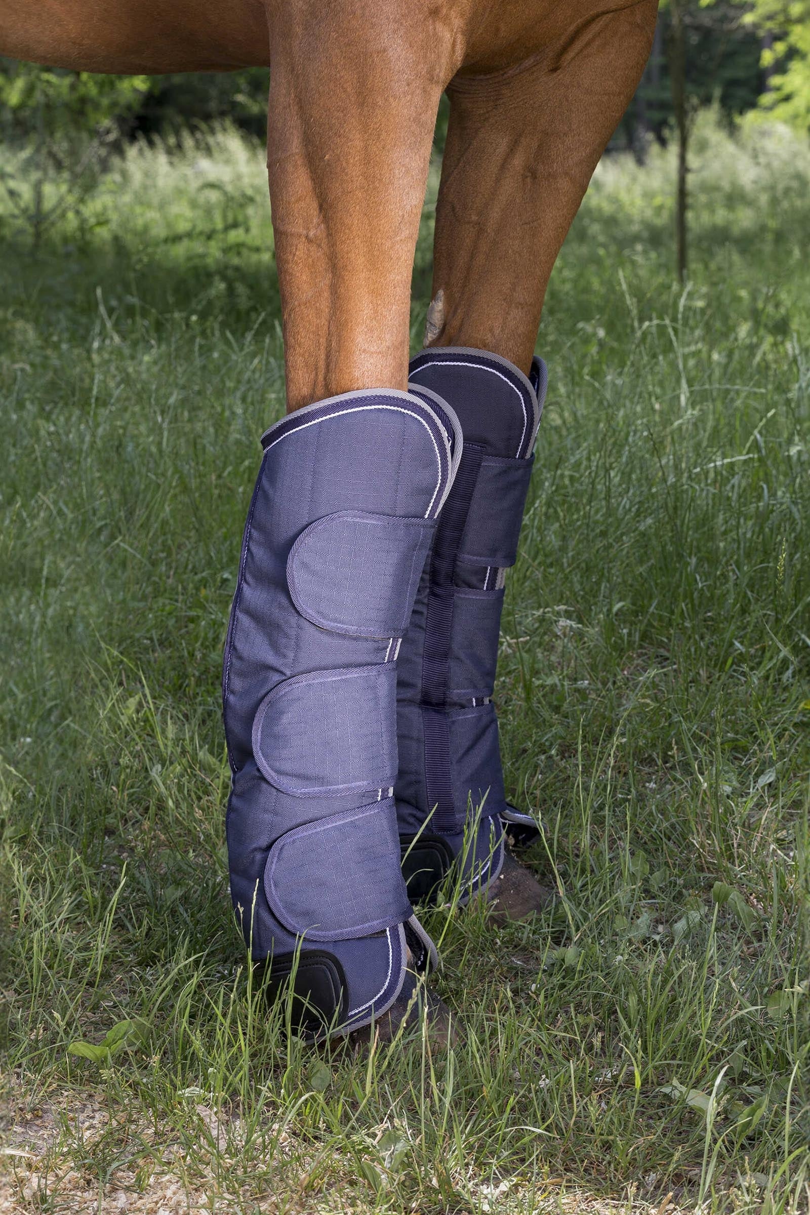 EQUITHÈME TYREX 600D Reinforced Transport Boots Leg & Hoof Protection