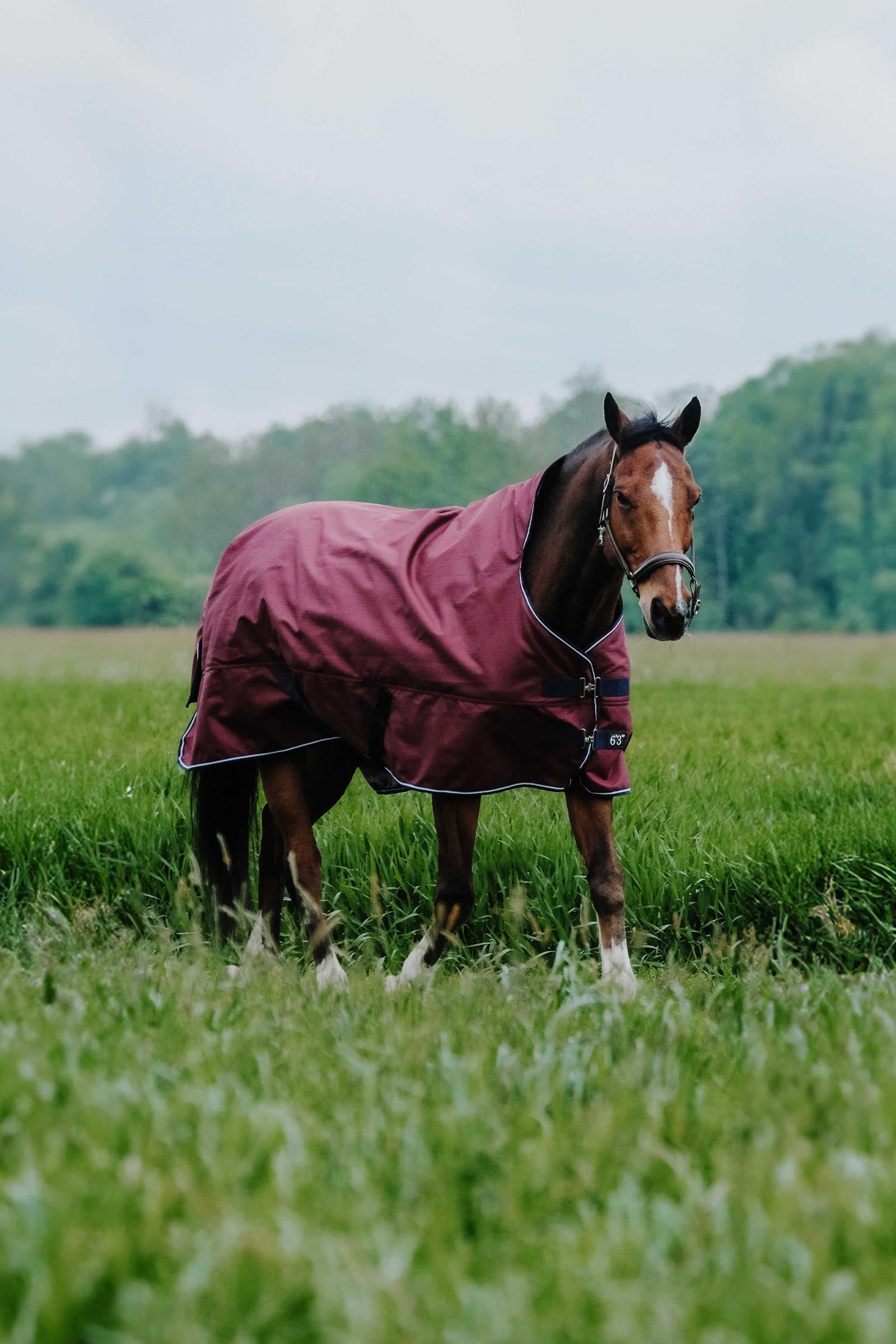 EQUITHÈME TYREX 1200D High Neck Rug, 300 g Horse Rugs