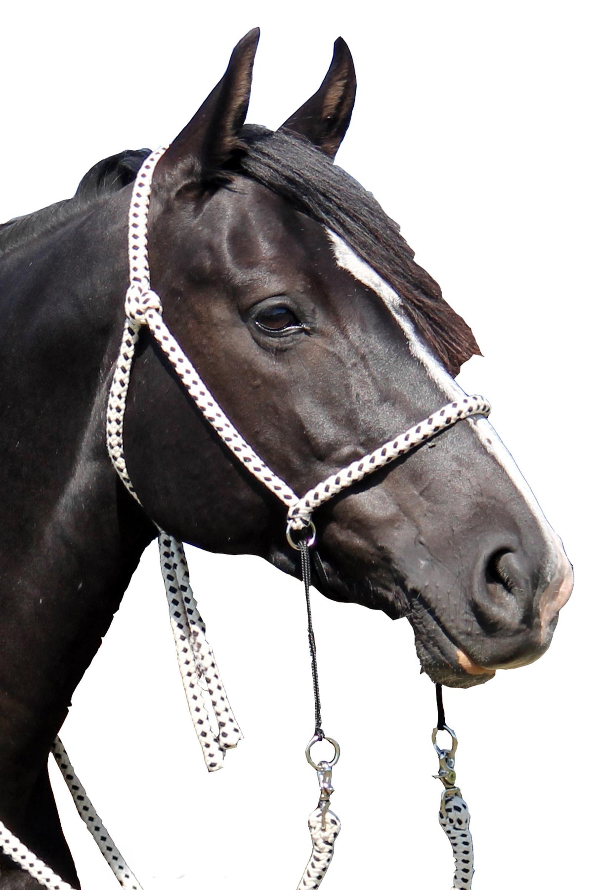 F.R.A. Freedom Riding Articles Nanouk Bitless Bridle (System 4) Cotton w/ Clip Reins Bridles & Reins