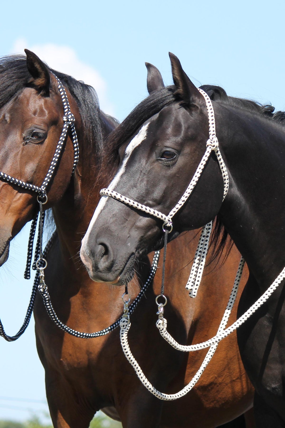 F.R.A. Freedom Riding Articles Nanouk Bitless Bridle (System 4) Cotton w/ Clip Reins Bridles & Reins