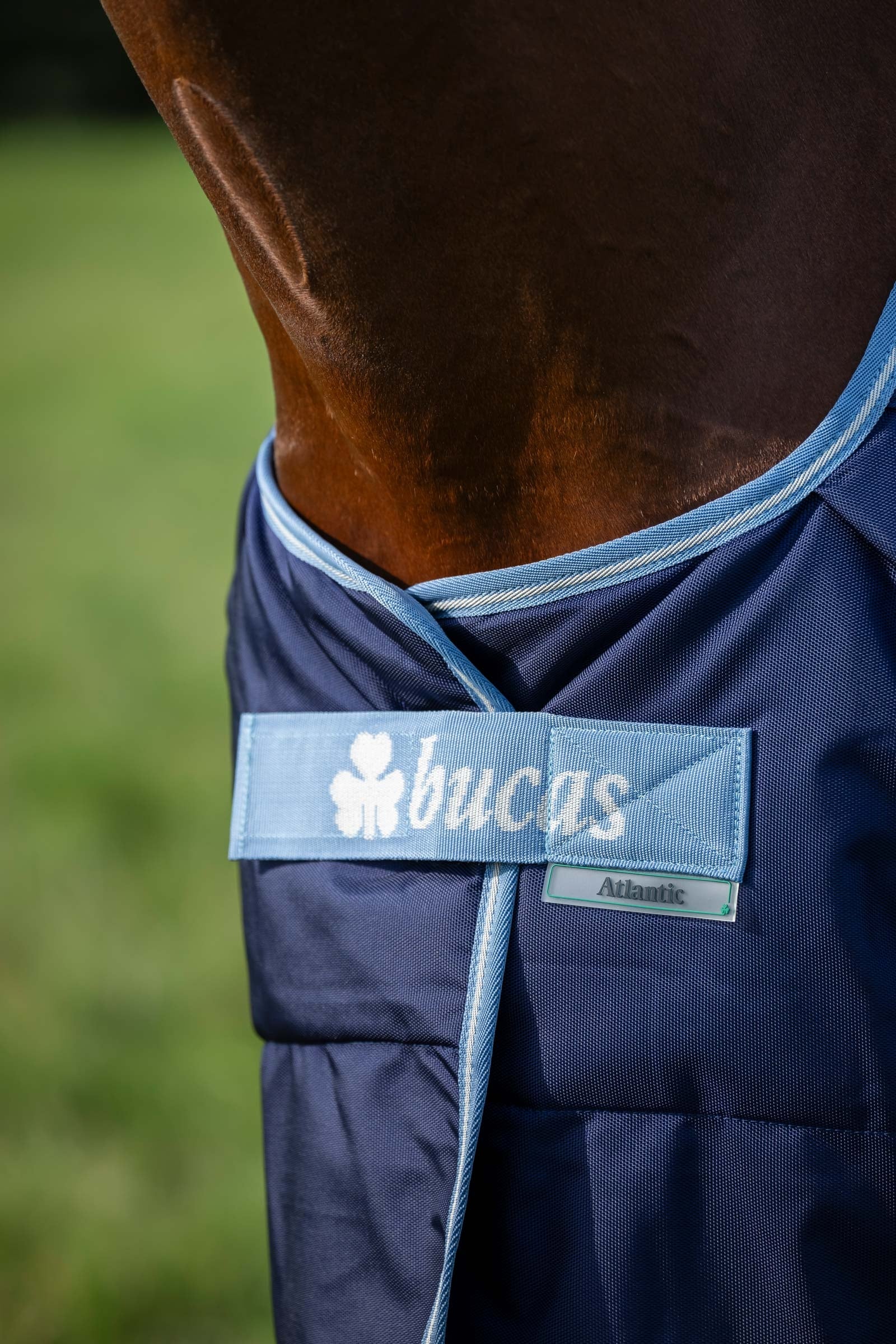 Bucas Atlantic Exclusive Rug & Neck, 150 g Horse Rugs