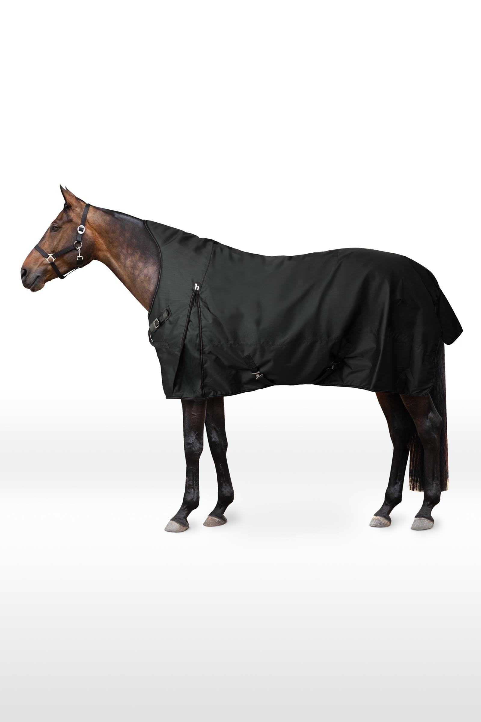 Horze Helsinki Turnout Rug With Half Neck, 200 g Horse Rugs