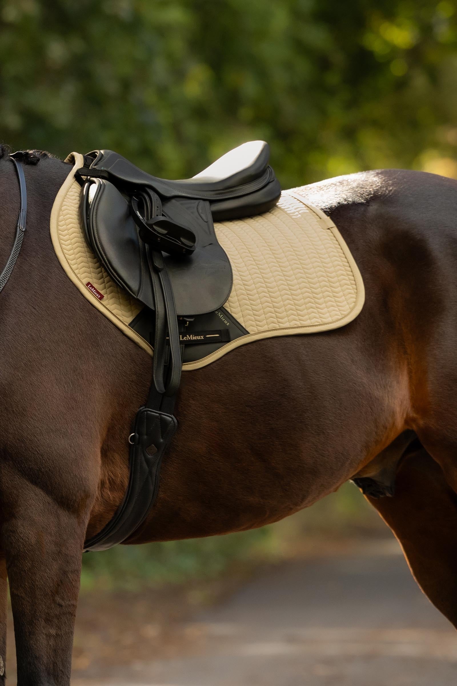 LeMieux Essence Close Contact Square Saddle Pad Saddle Pads