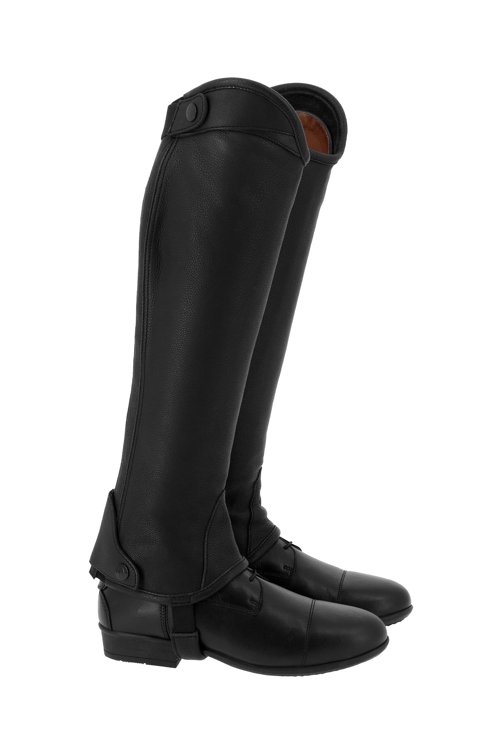 EQUITHÈME Select Half Chaps Riding Boots & Riding Shoes