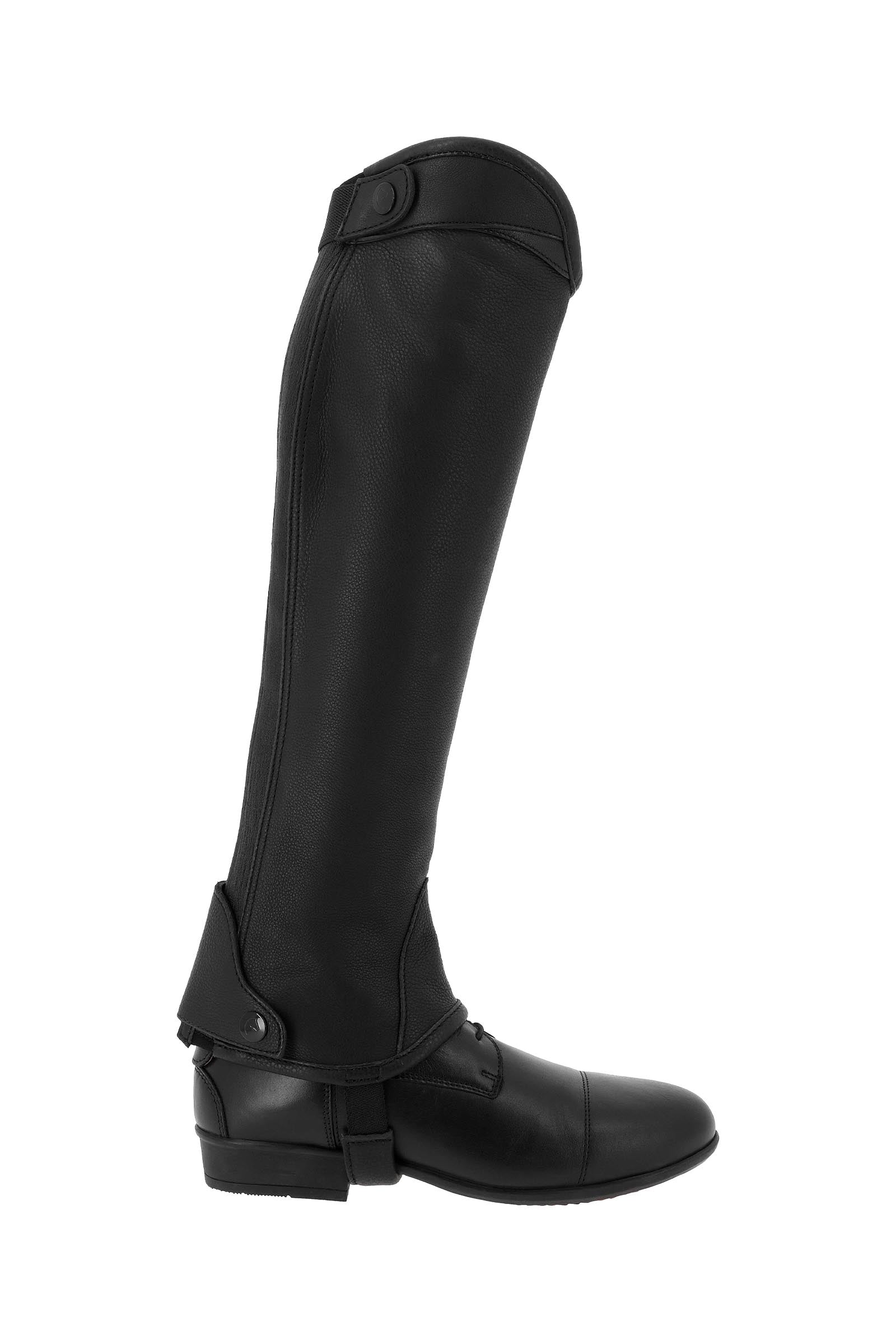 EQUITHÈME Select Half Chaps Riding Boots & Riding Shoes