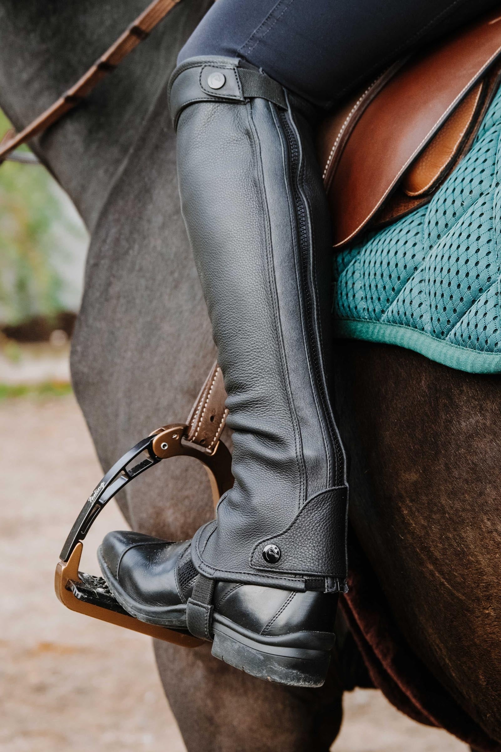EQUITHÈME Select Half Chaps Riding Boots & Riding Shoes