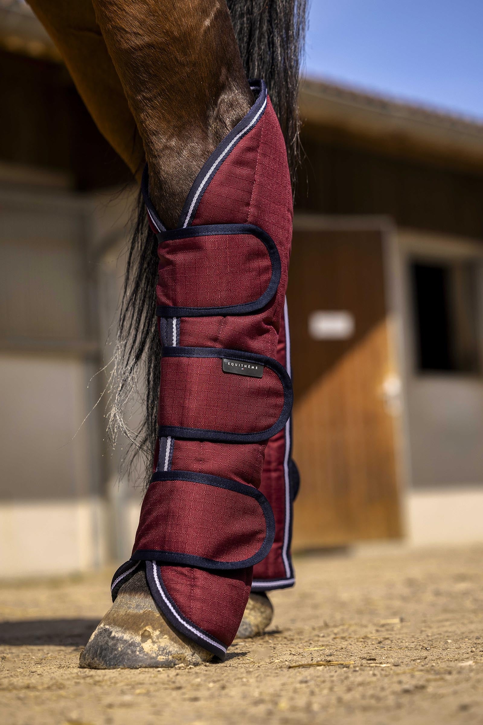 EQUITHÈME TYREX Aisance 1200D Transport Boots Leg & Hoof Protection