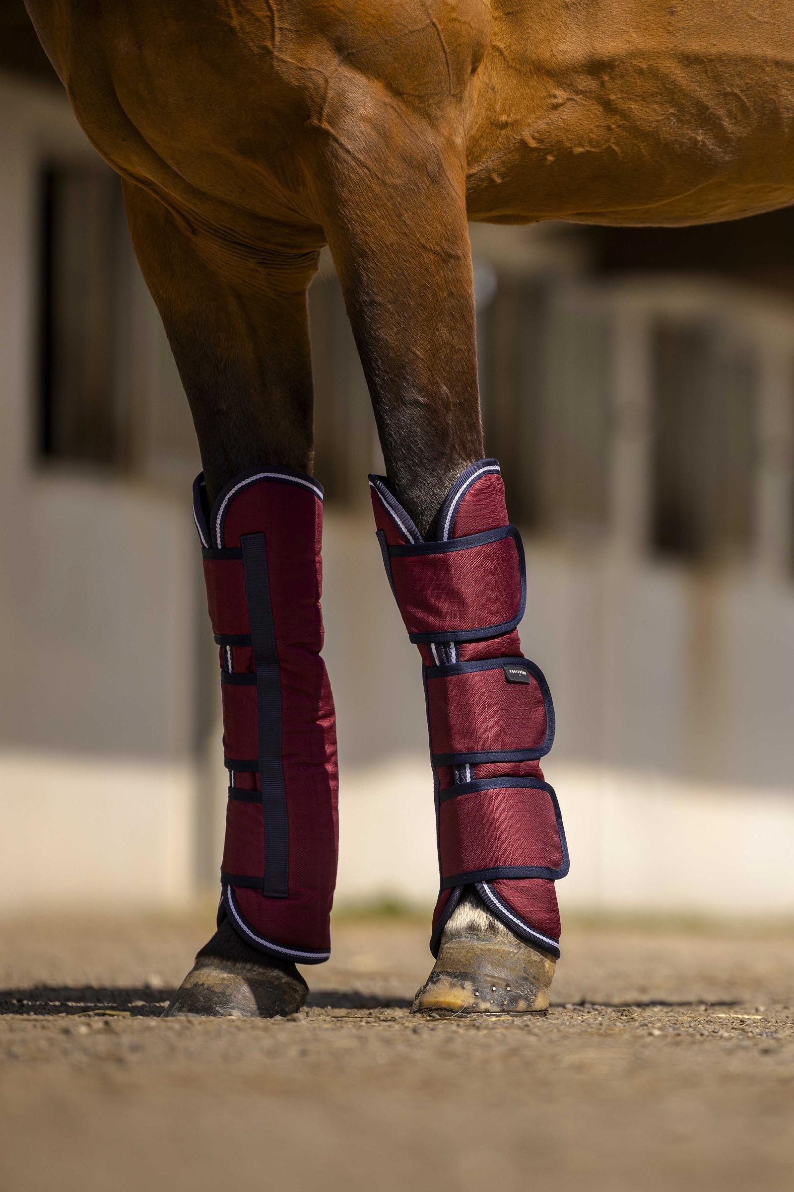EQUITHÈME TYREX Aisance 1200D Transport Boots Leg & Hoof Protection