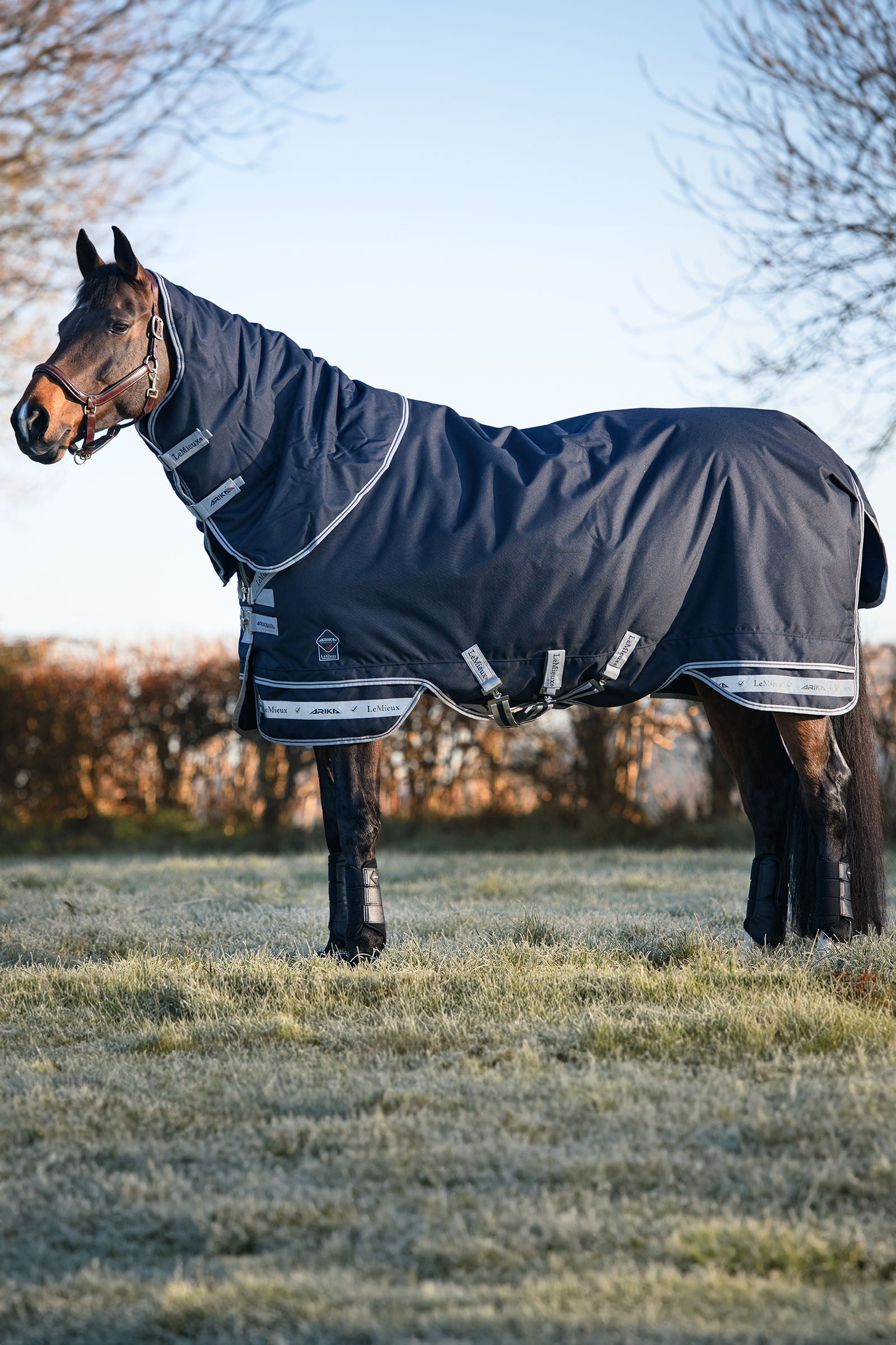 LeMieux Arika Storm-Tek 350g Horse Rugs