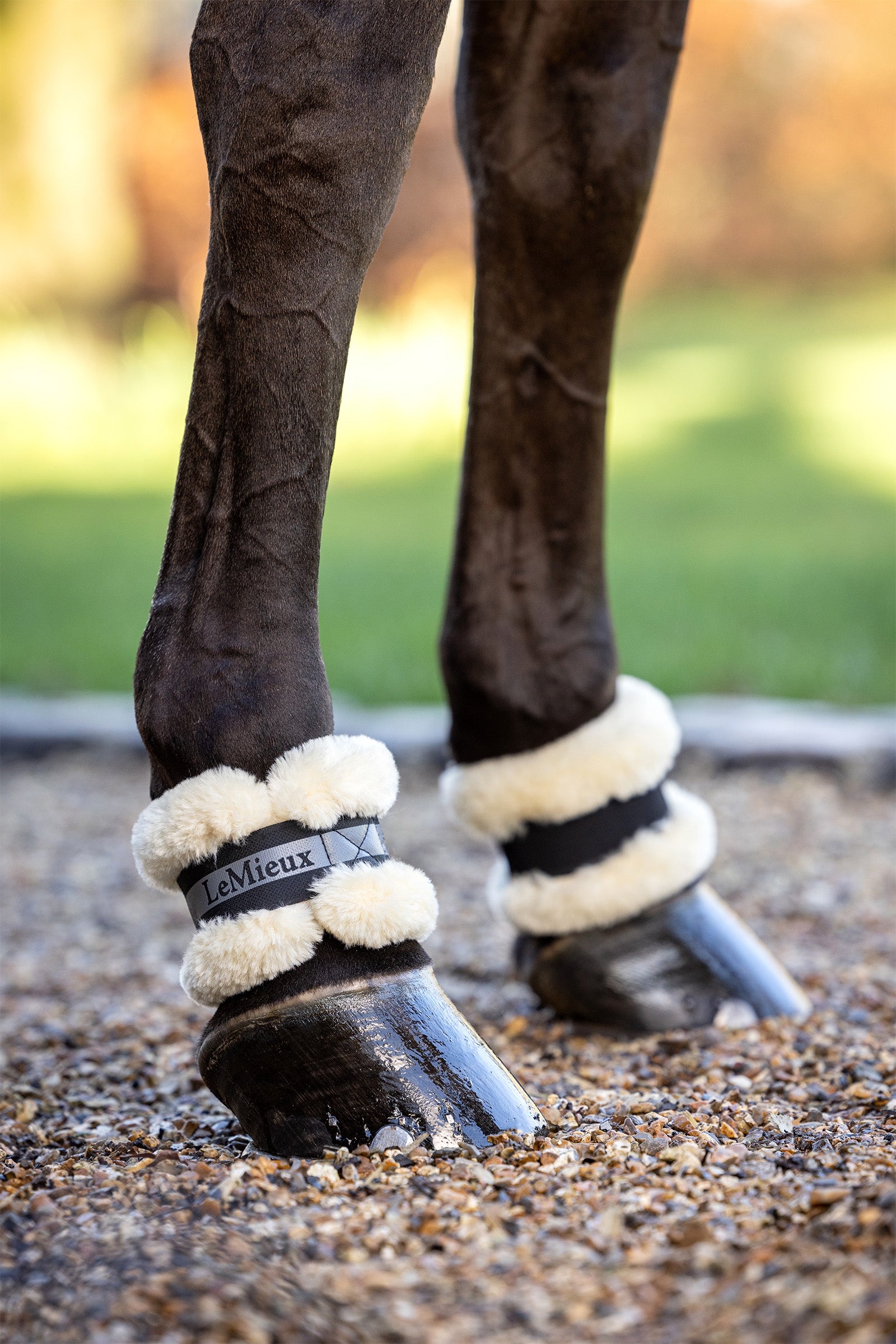 LeMieux Fleece Pastern Wrap Leg & Hoof Protection