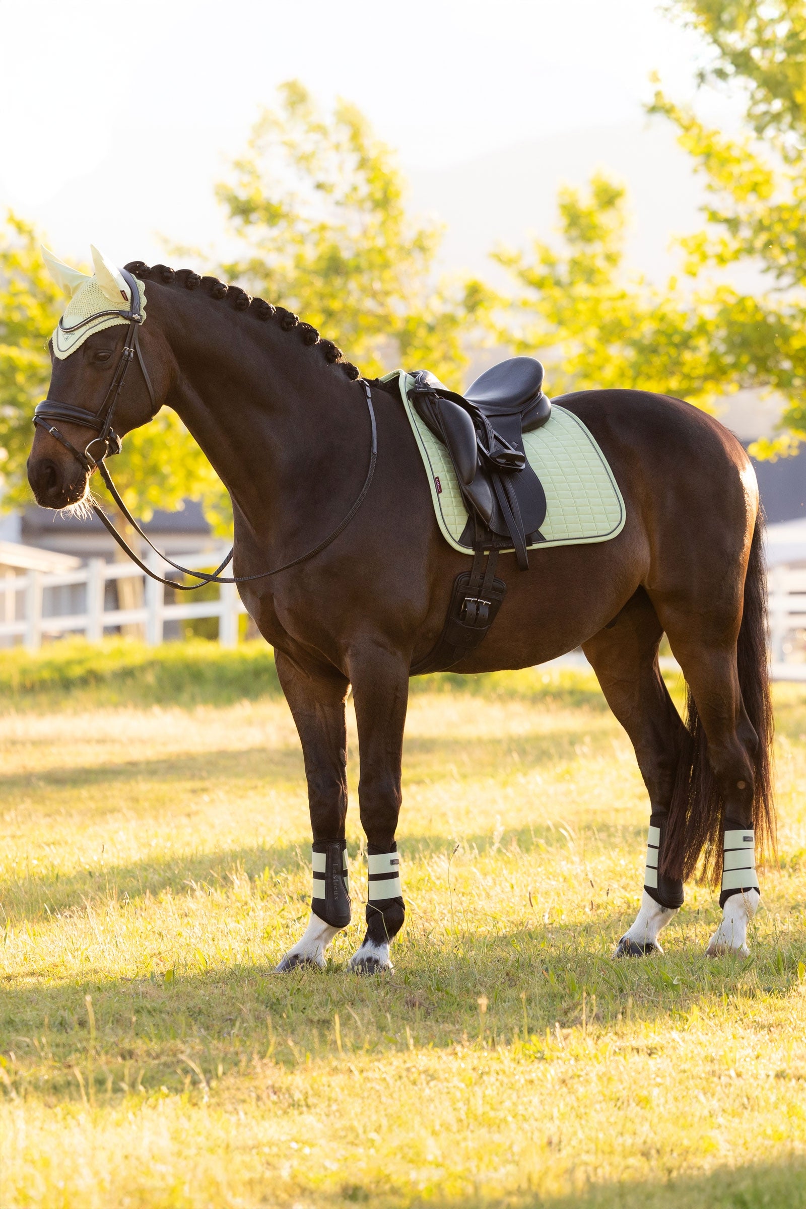 LeMieux Suede Square Dressage Saddle Pad Saddle Pads