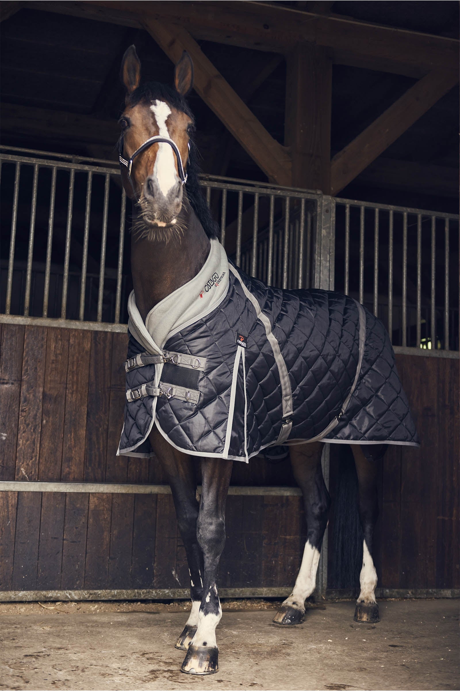 Catago CATAGO Stable Rug, 100 g Horse Rugs