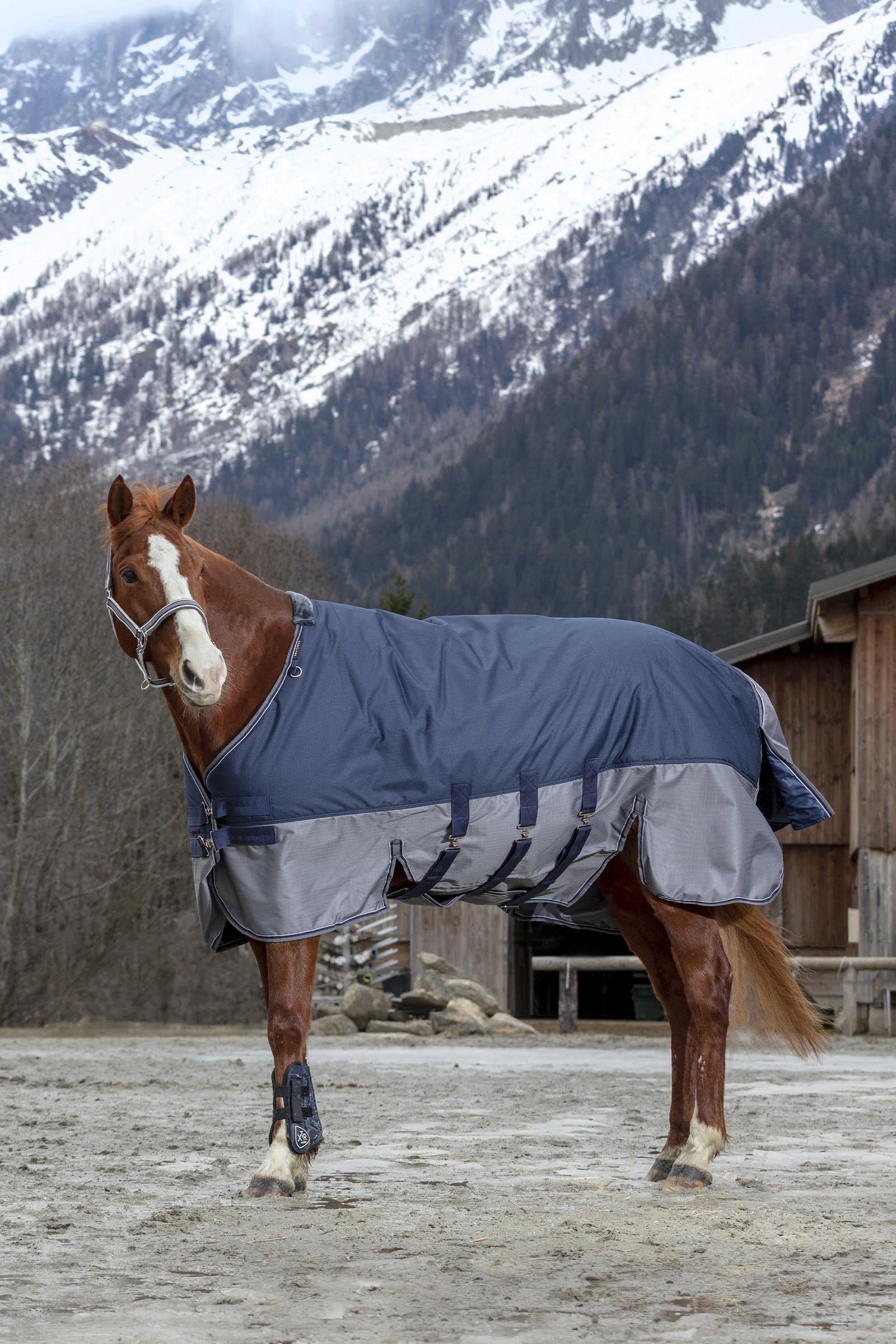 EQUITHÈME TYREX 600D Turnout Rug With Belly Flap, 300 g Horse Rugs