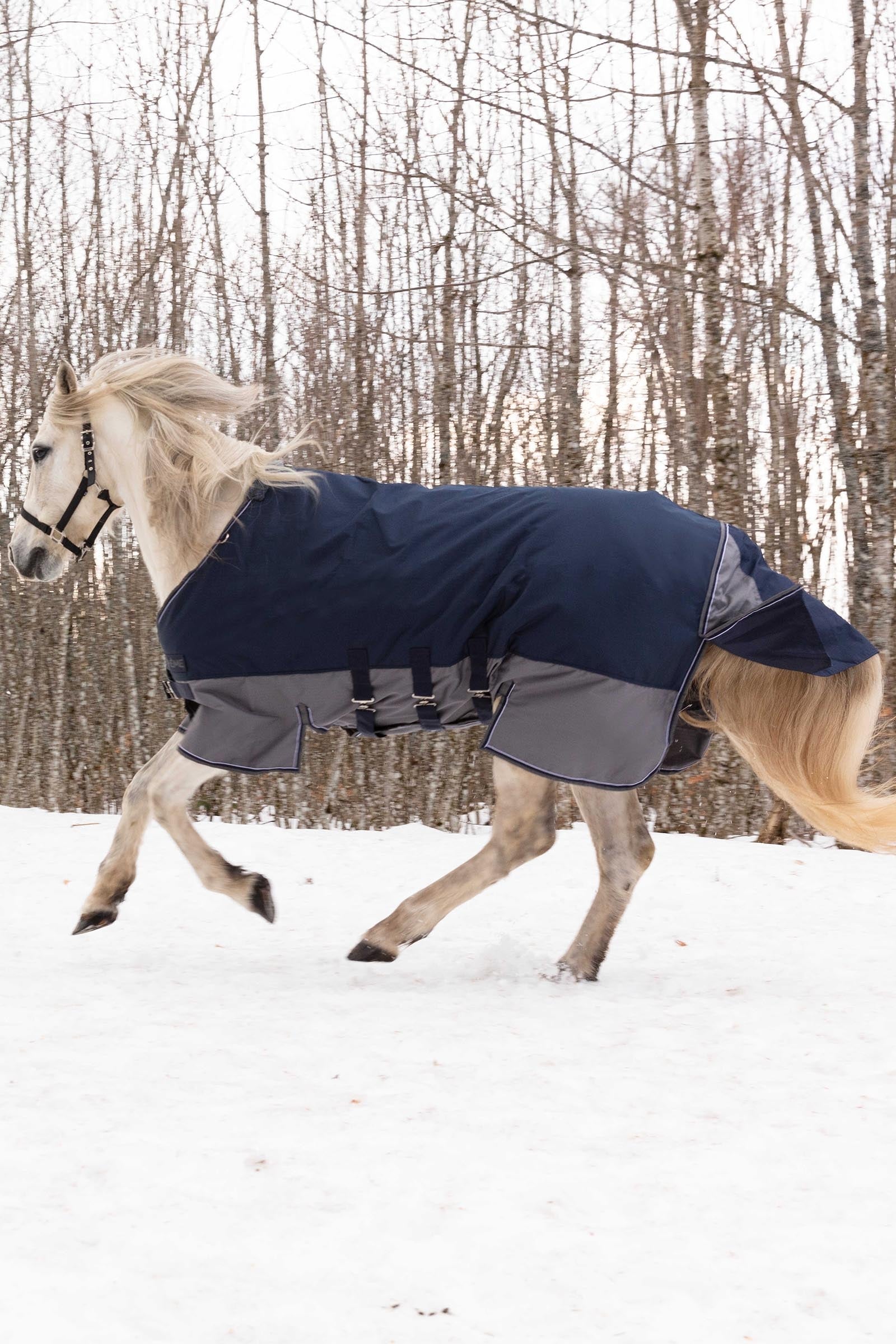 EQUITHÈME TYREX 600D Turnout Rug With Belly Flap, 300 g Horse Rugs