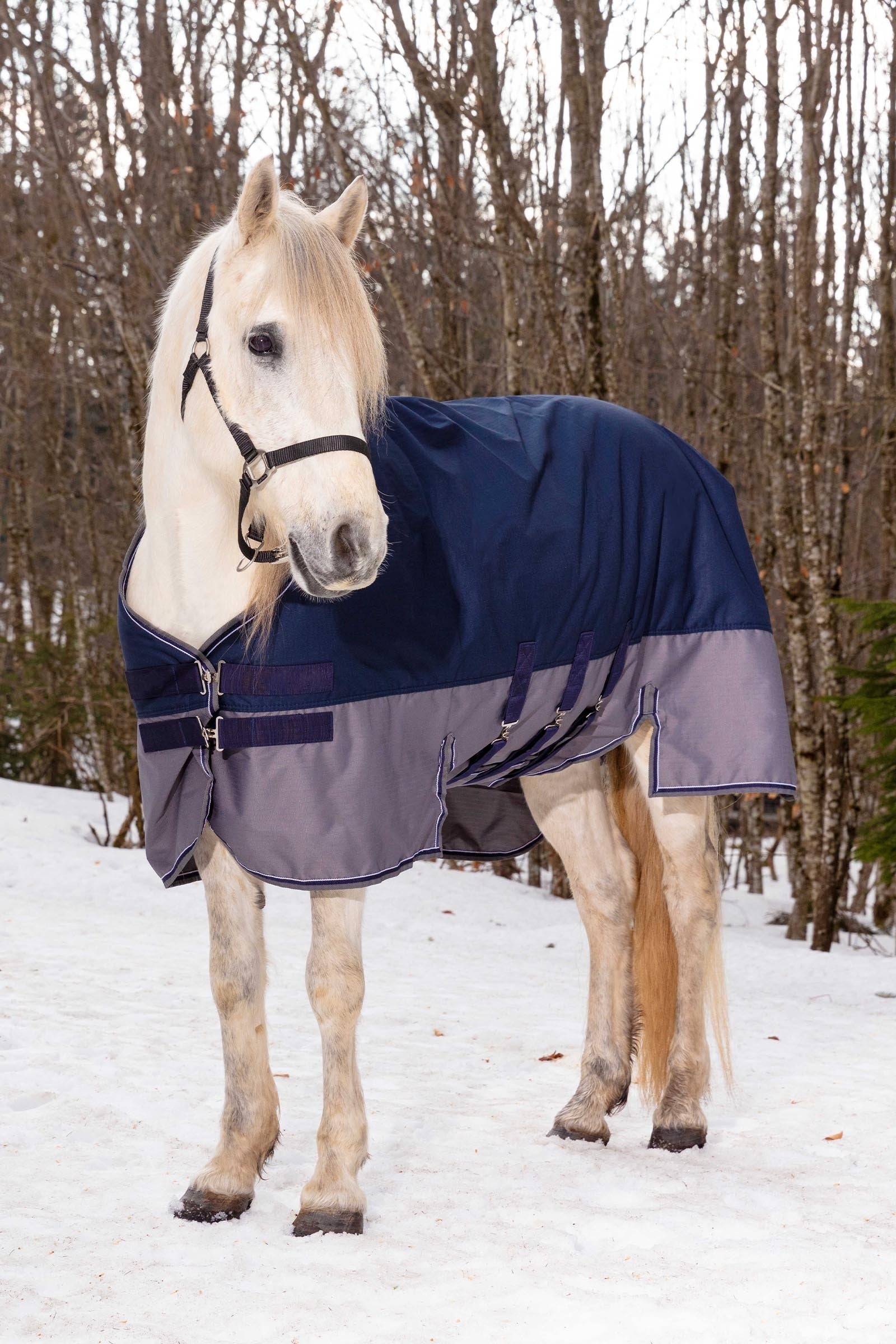 EQUITHÈME TYREX 600D Turnout Rug With Belly Flap, 300 g Horse Rugs
