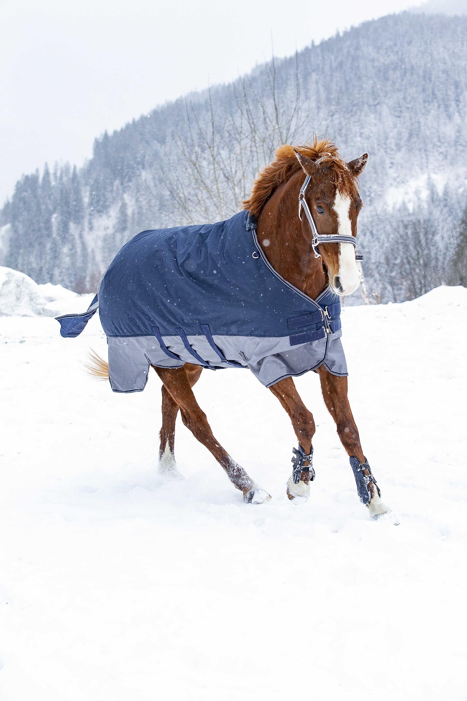EQUITHÈME TYREX 600D Turnout Rug With Belly Flap, 300 g Horse Rugs