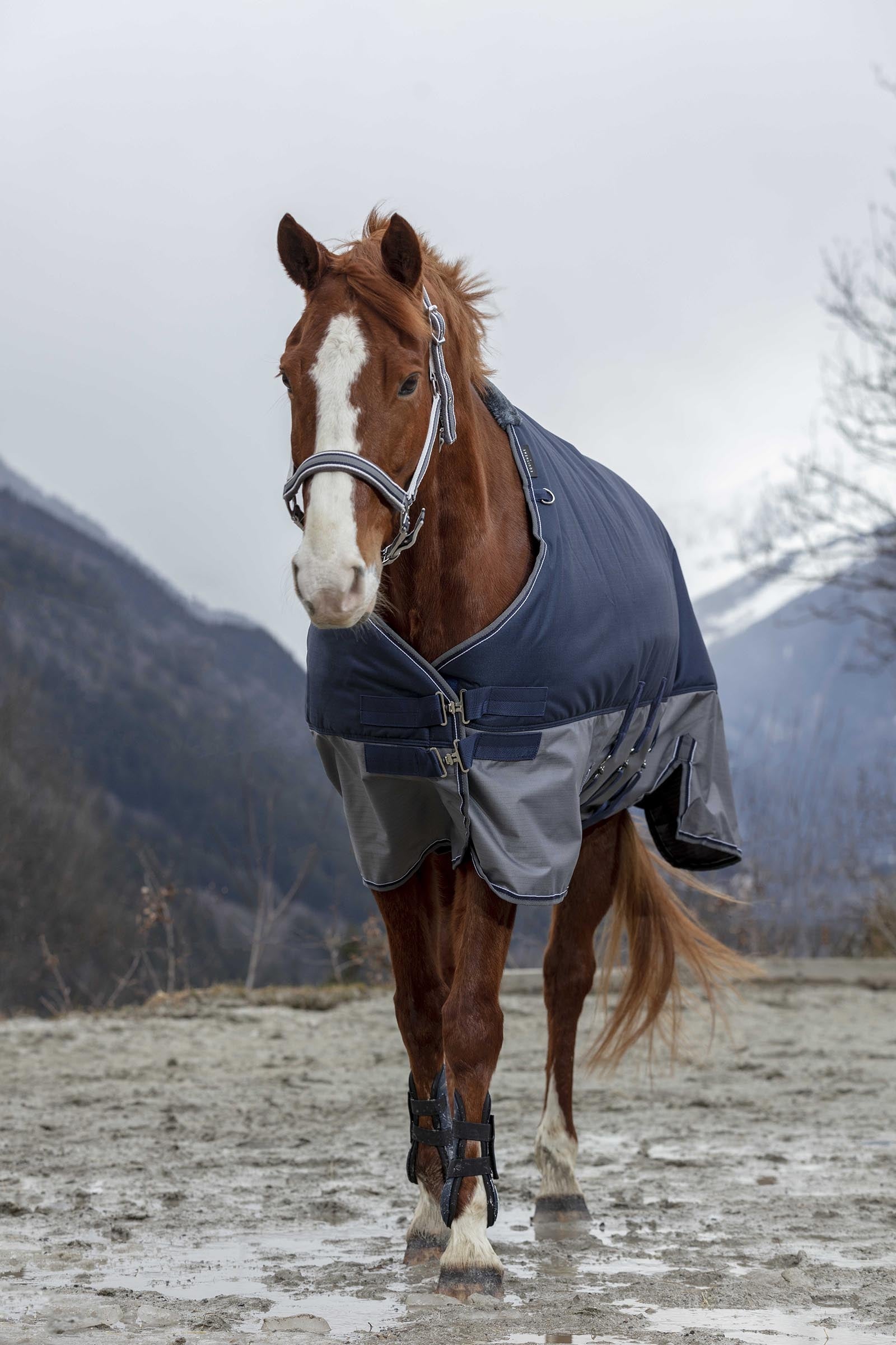 EQUITHÈME TYREX 600D Turnout Rug With Belly Flap, 300 g Horse Rugs