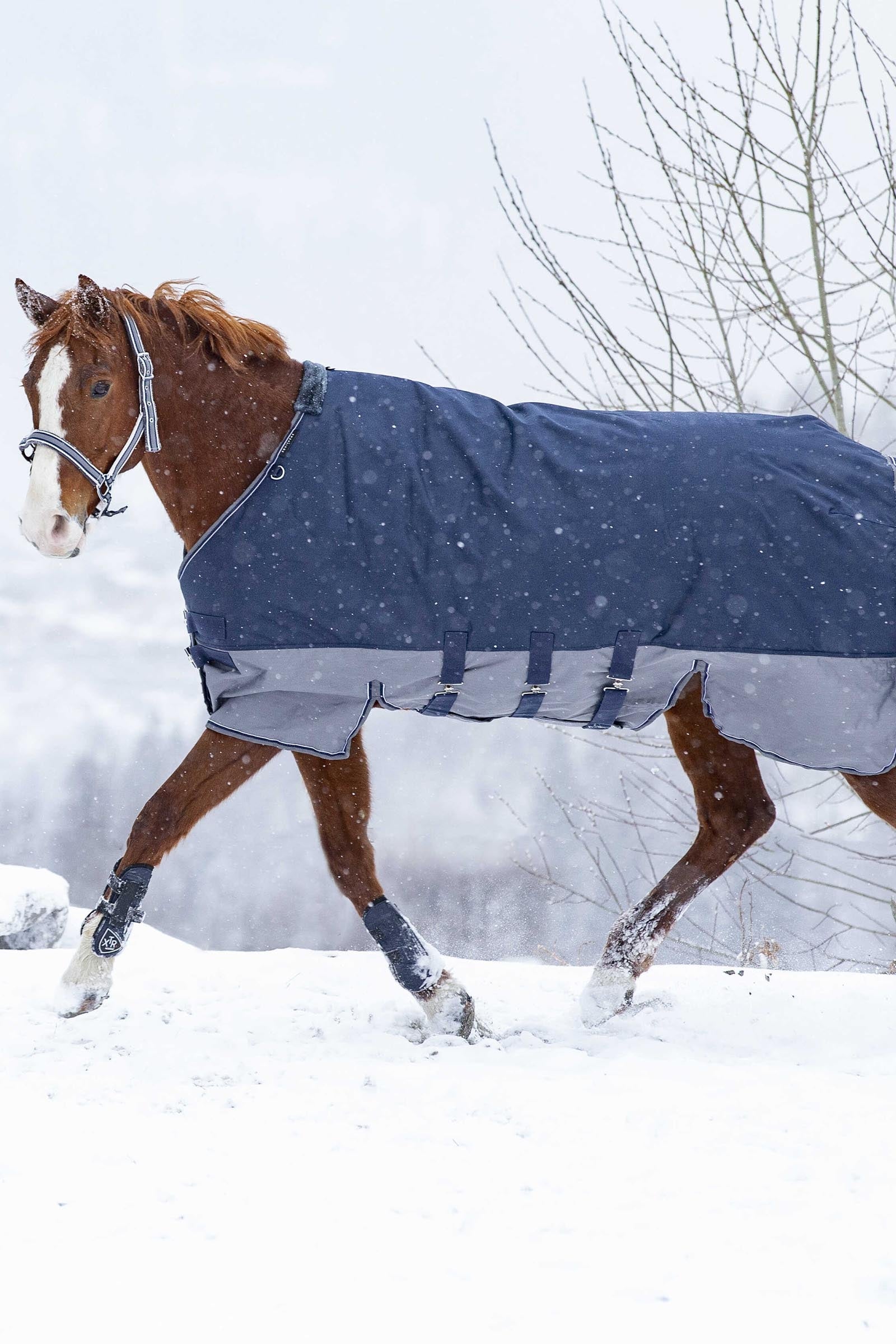 EQUITHÈME TYREX 600D Turnout Rug With Belly Flap, 300 g Horse Rugs