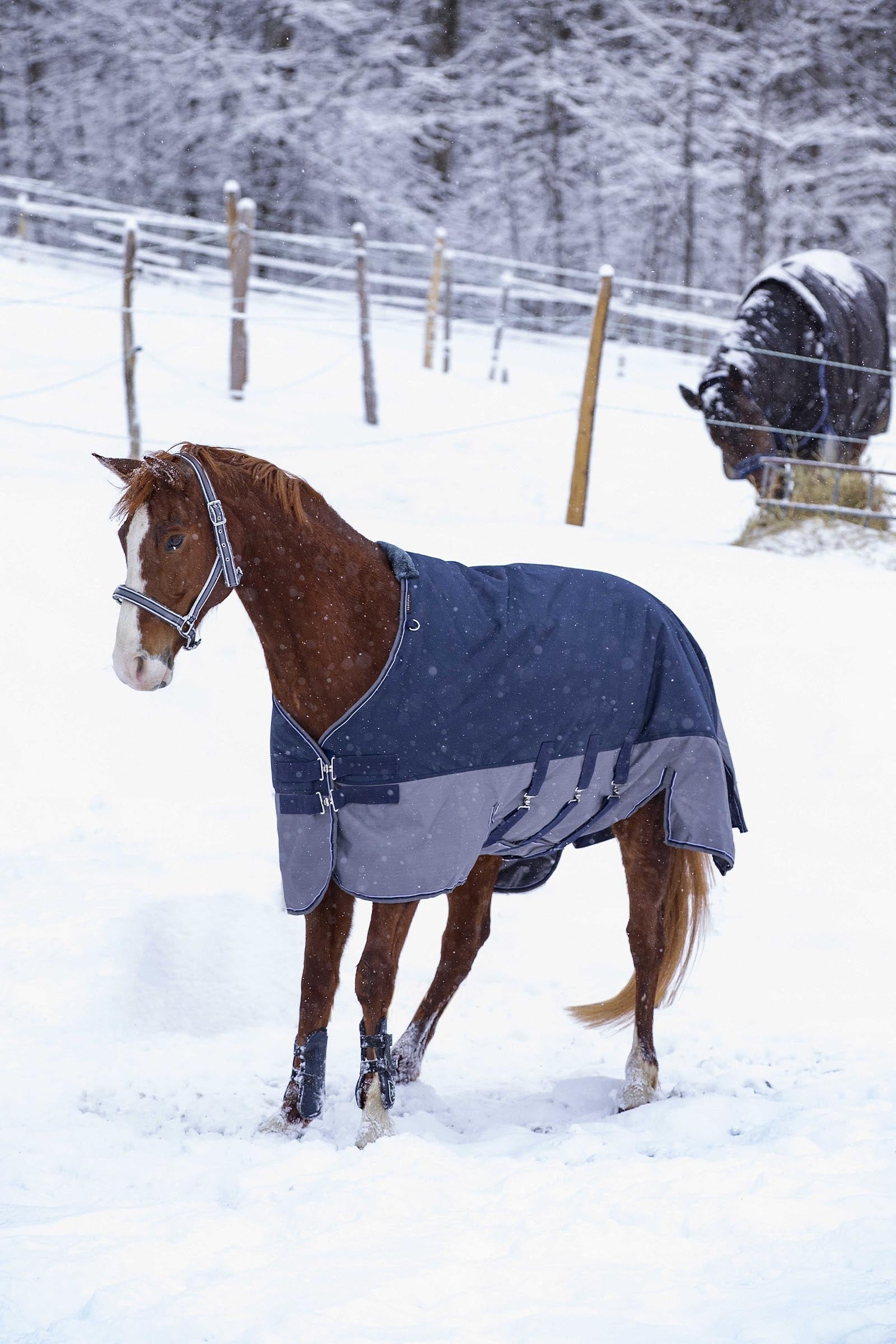 EQUITHÈME TYREX 600D Turnout Rug With Belly Flap, 300 g Horse Rugs