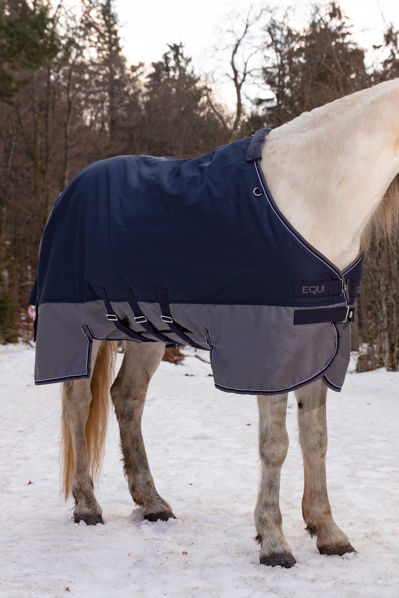 EQUITHÈME TYREX 600D Turnout Rug With Belly Flap, 300 g Horse Rugs