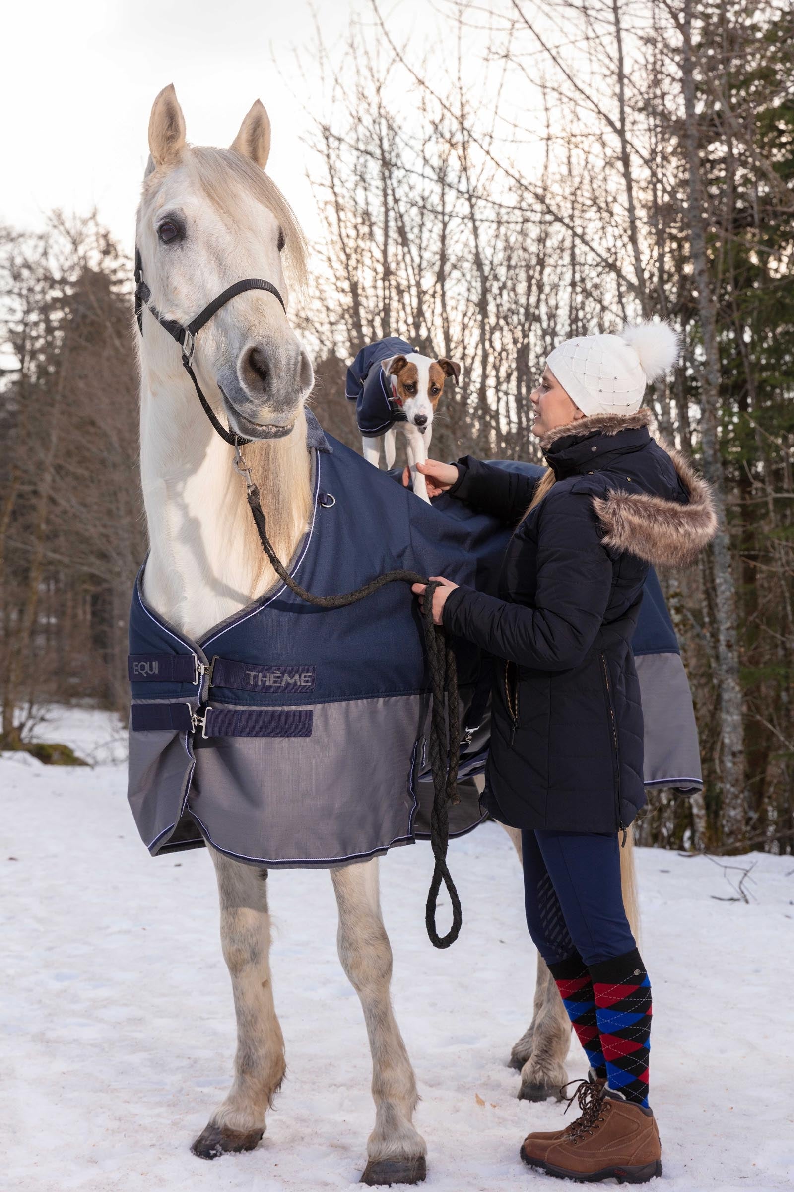 EQUITHÈME TYREX 600D Turnout Rug With Belly Flap, 300 g Horse Rugs