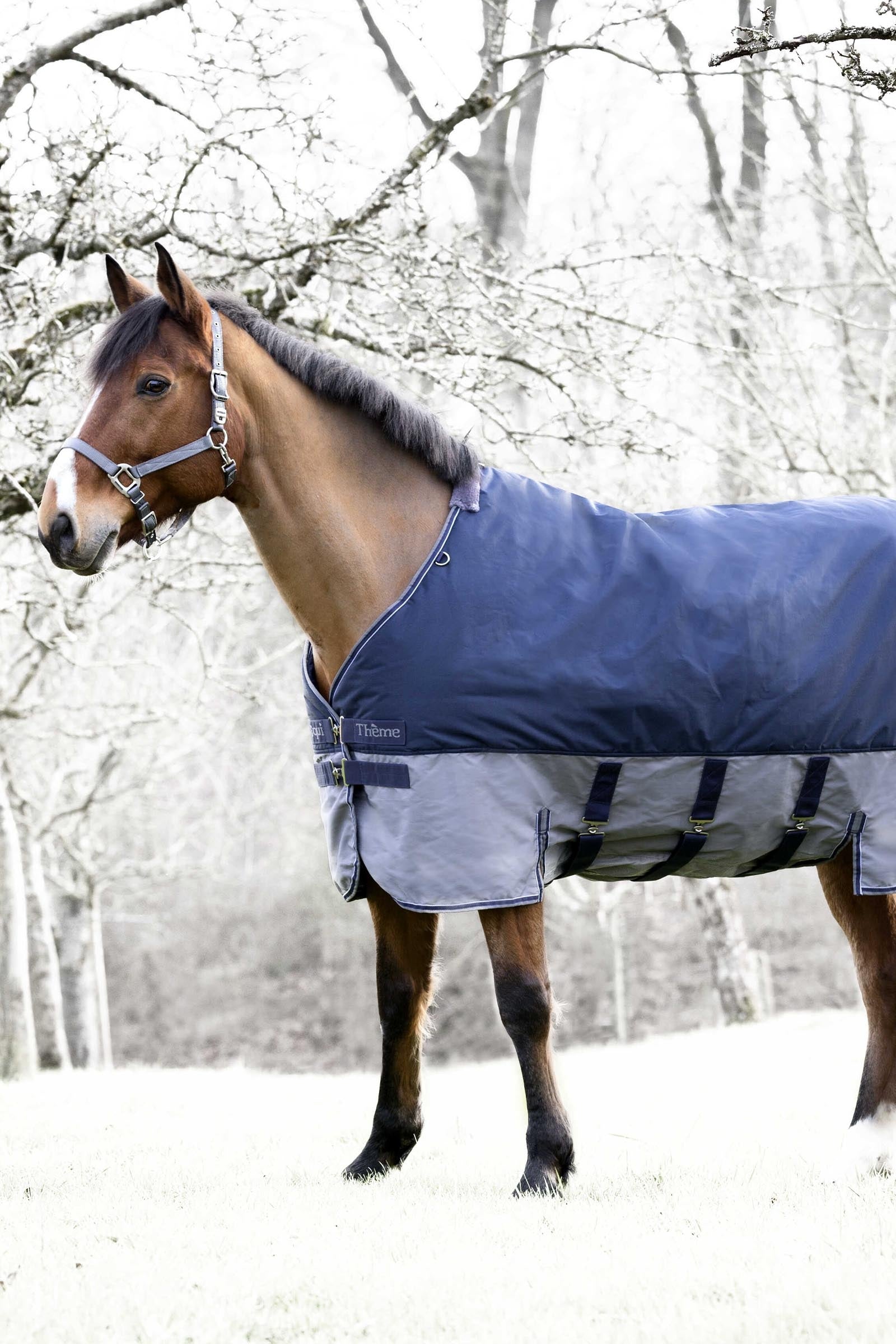 EQUITHÈME TYREX 600D Turnout Rug With Belly Flap, 300 g Horse Rugs