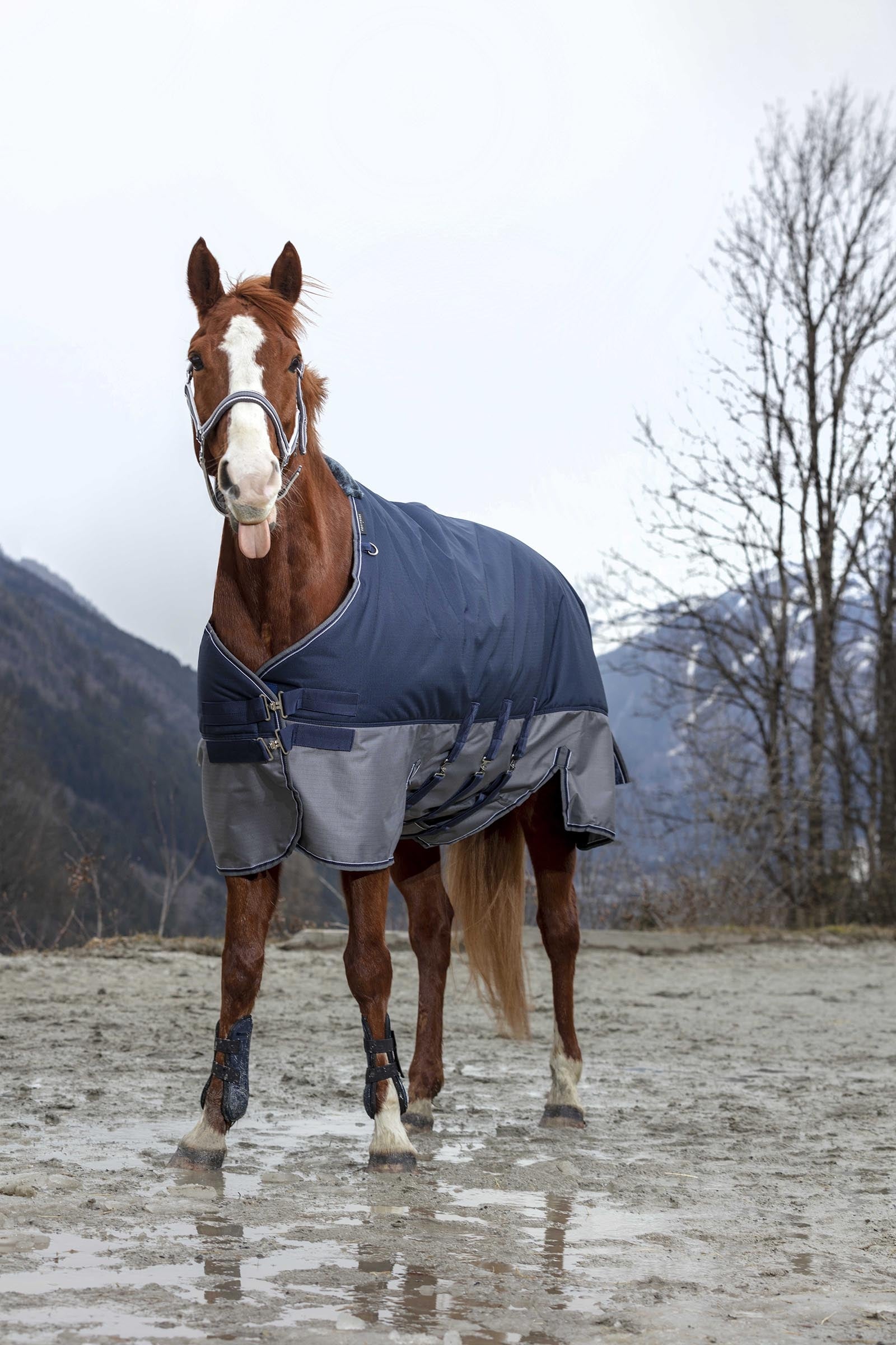 EQUITHÈME TYREX 600D Turnout Rug With Belly Flap, 300 g Horse Rugs