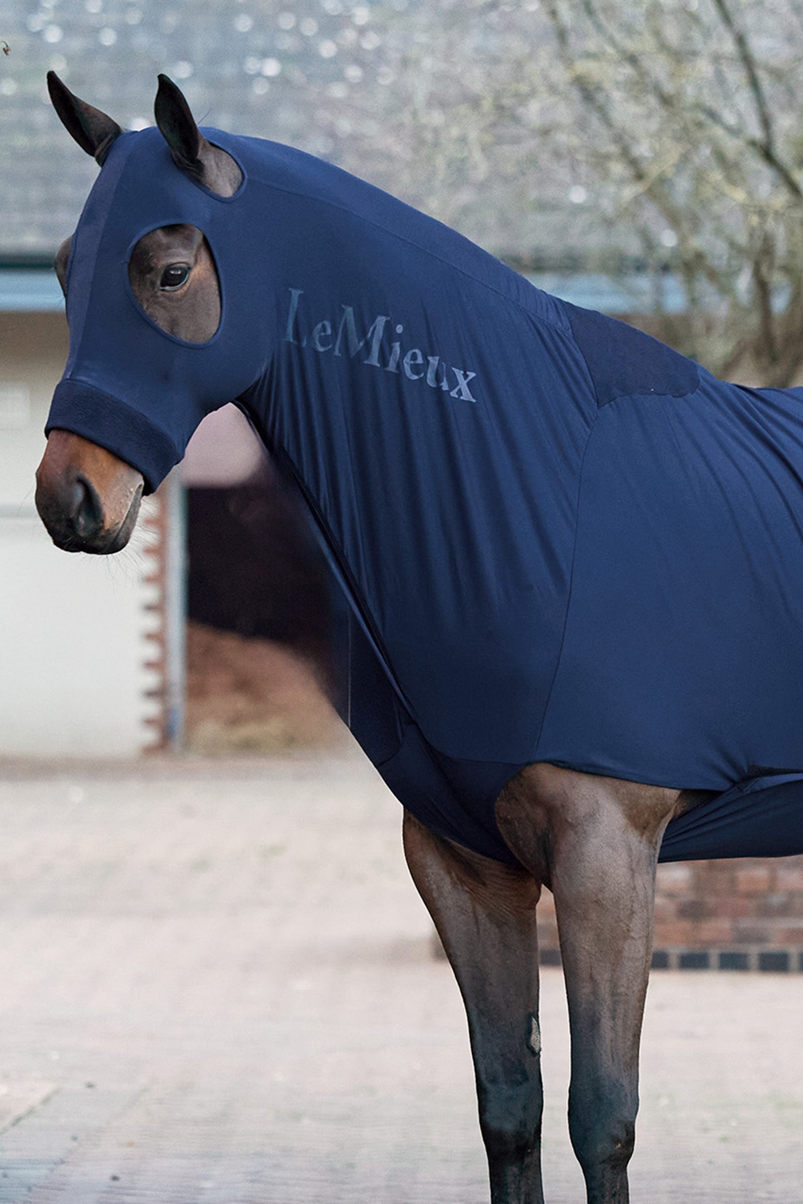 LeMieux Stretch Show Rug Horse Rugs