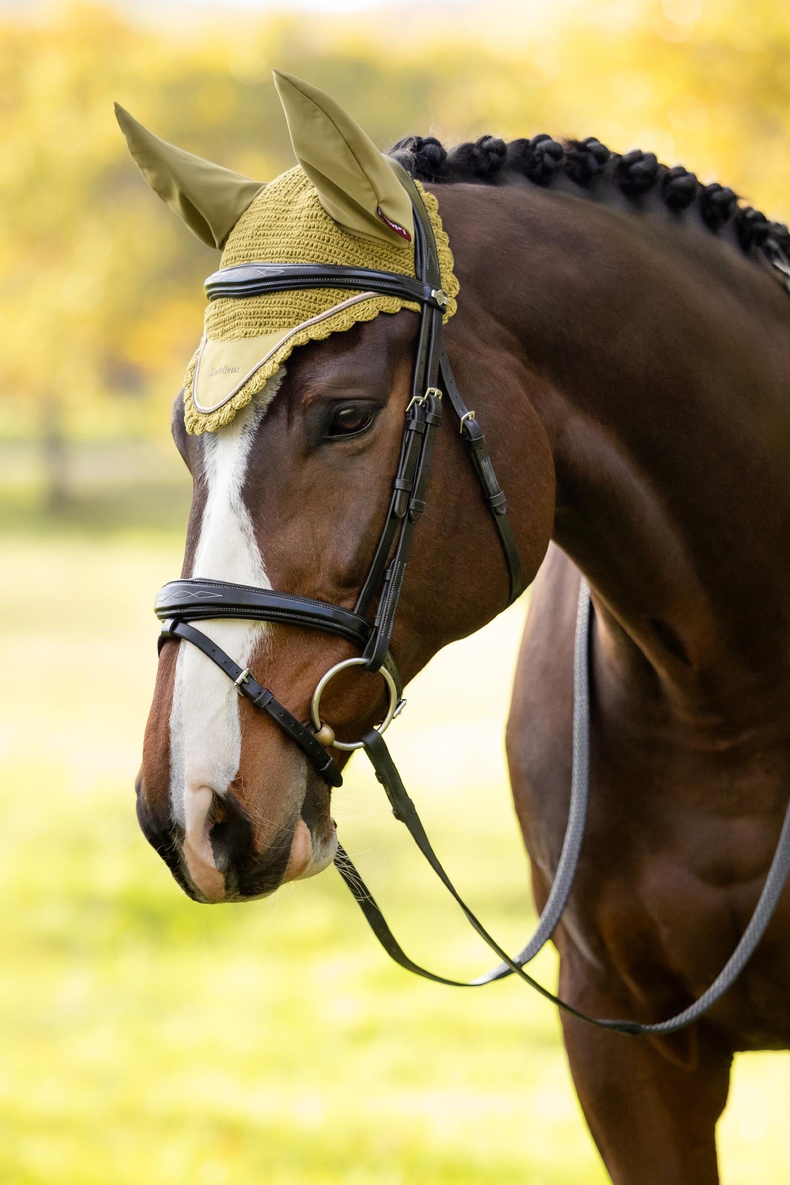 LeMieux Classic Fly Hood Saddle Pads