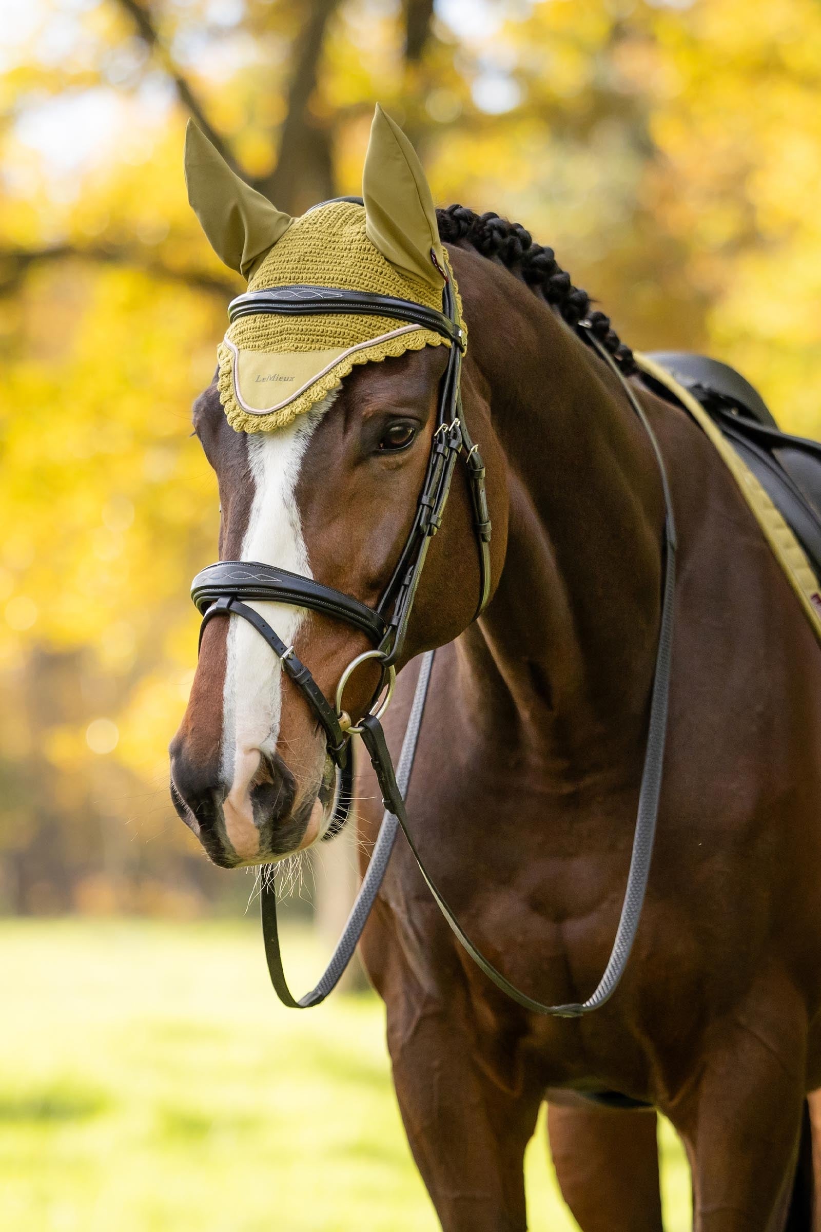 LeMieux Classic Fly Hood Saddle Pads