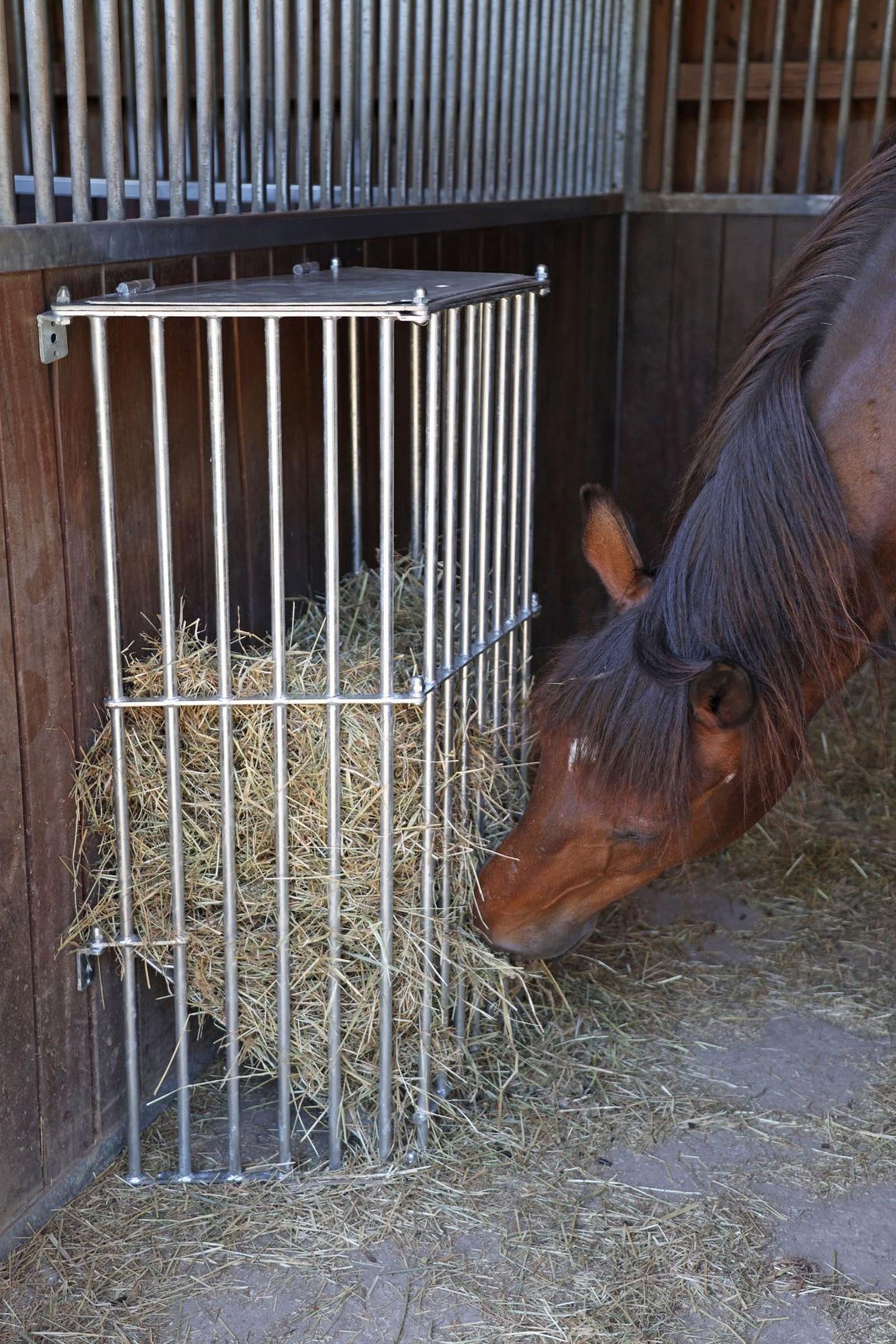 Kerbl Slow Feeder Plus Hay Tray for horses Horse Feeders & Waterers