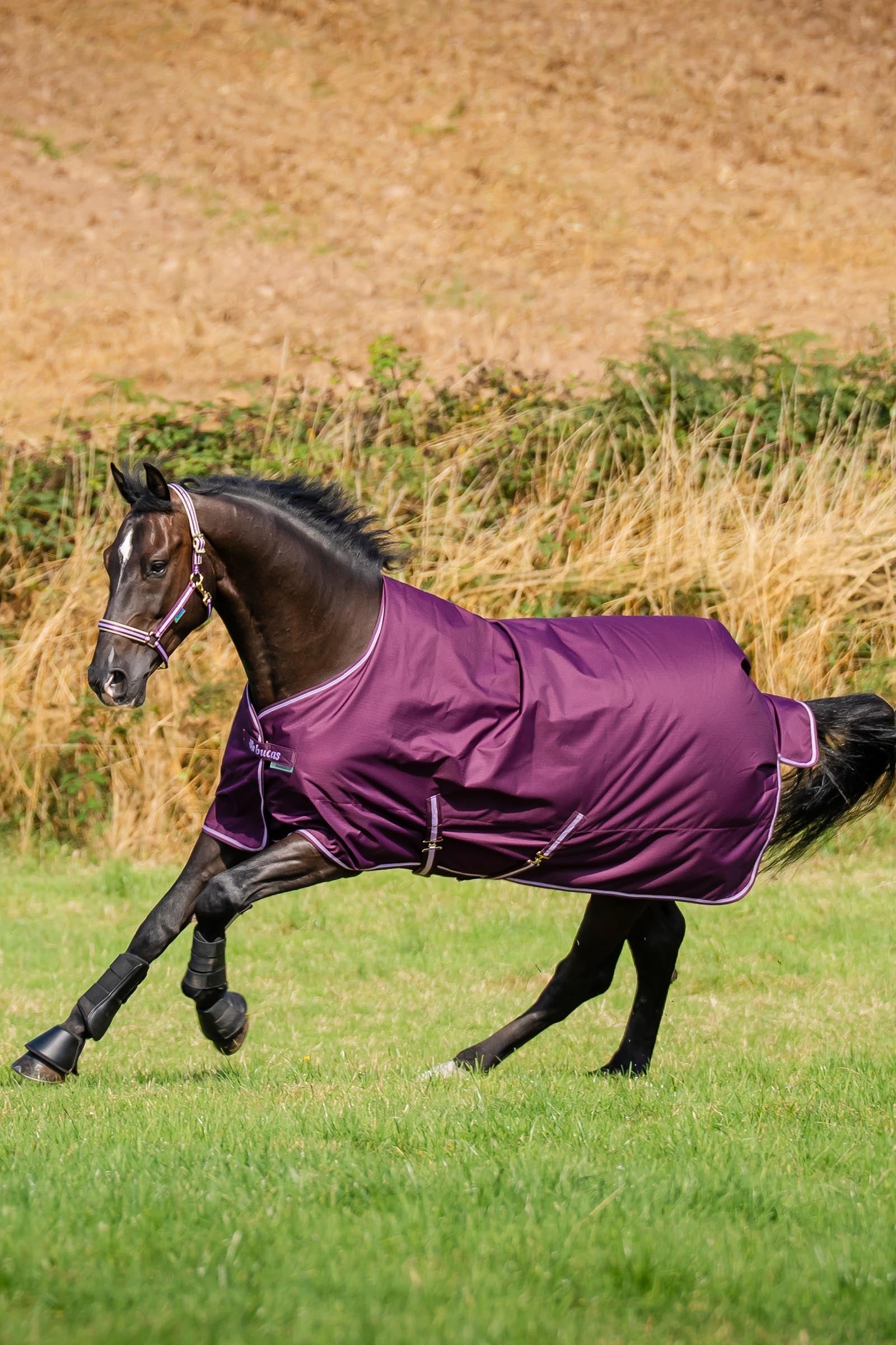 Bucas Freedom Light Turnout Rug, 0g Horse Rugs