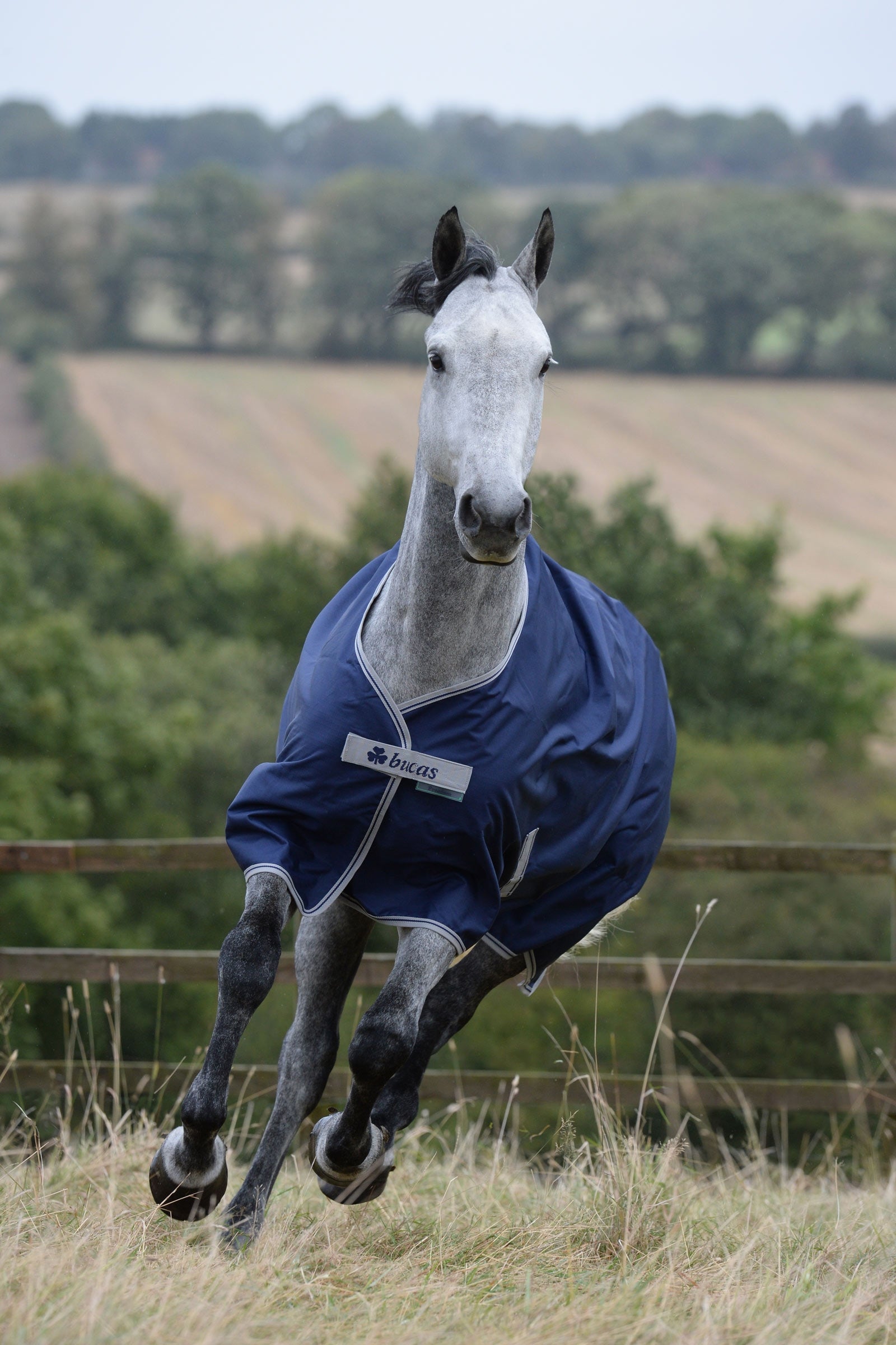 Bucas Freedom Light Turnout Rug, 0g Horse Rugs