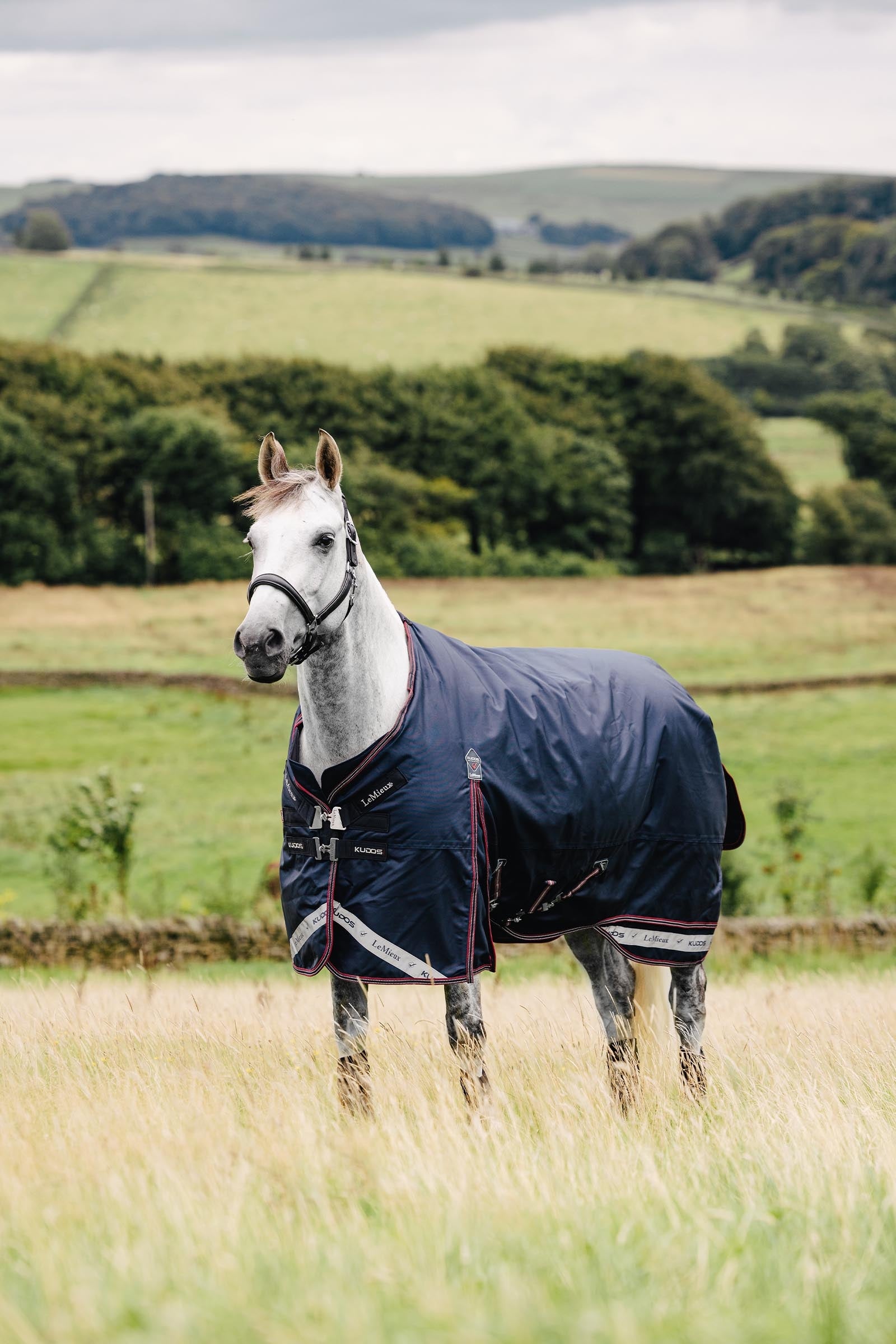 LeMieux Kudos Lightweight Turnout Rug, 50 g Horse Rugs