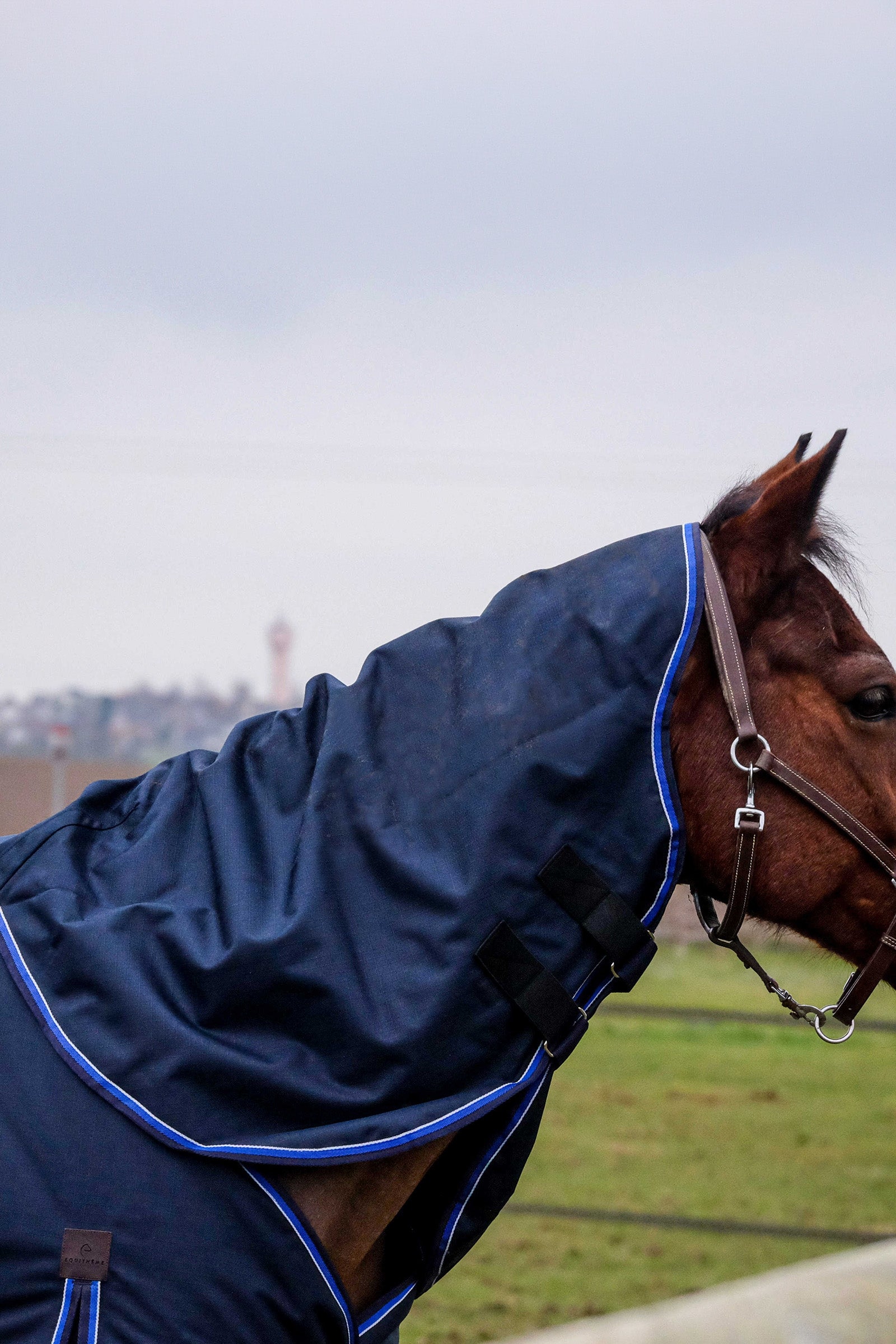 EQUITHÈME Classic 1200D Neck Cover, 150 g Horse Rugs