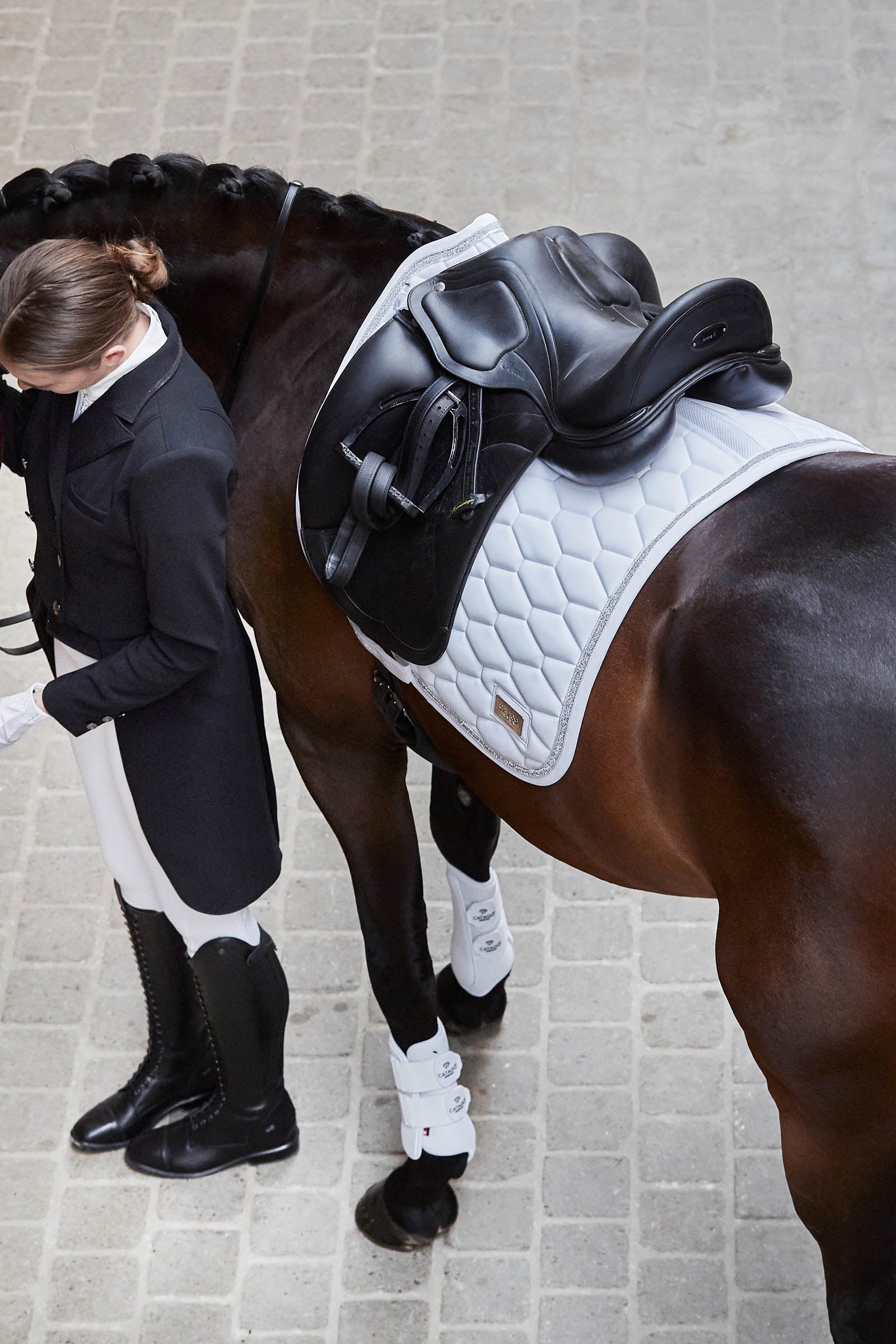 Catago Fir-Tech Training Boots Leg Protection & Hoof Protection for Horses