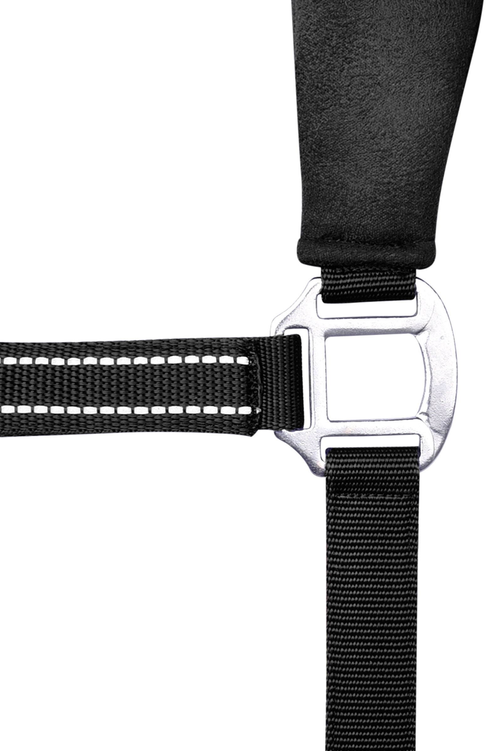 Waldhausen Alcantara Halter Halters & Leads